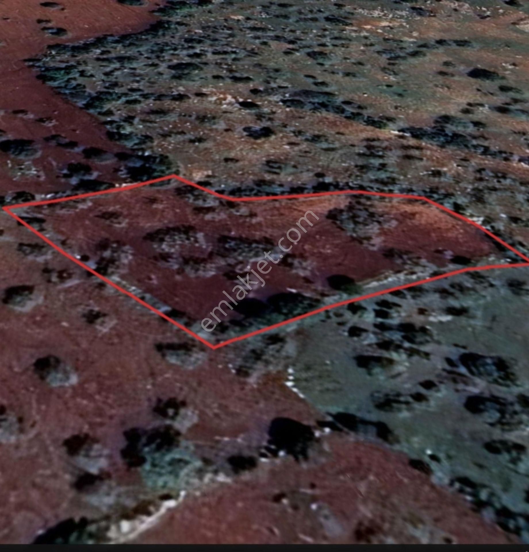 Şehitkamil Yığınlı Da 2.510 M² Tek Tapu Fıstıklık - Görsel 7