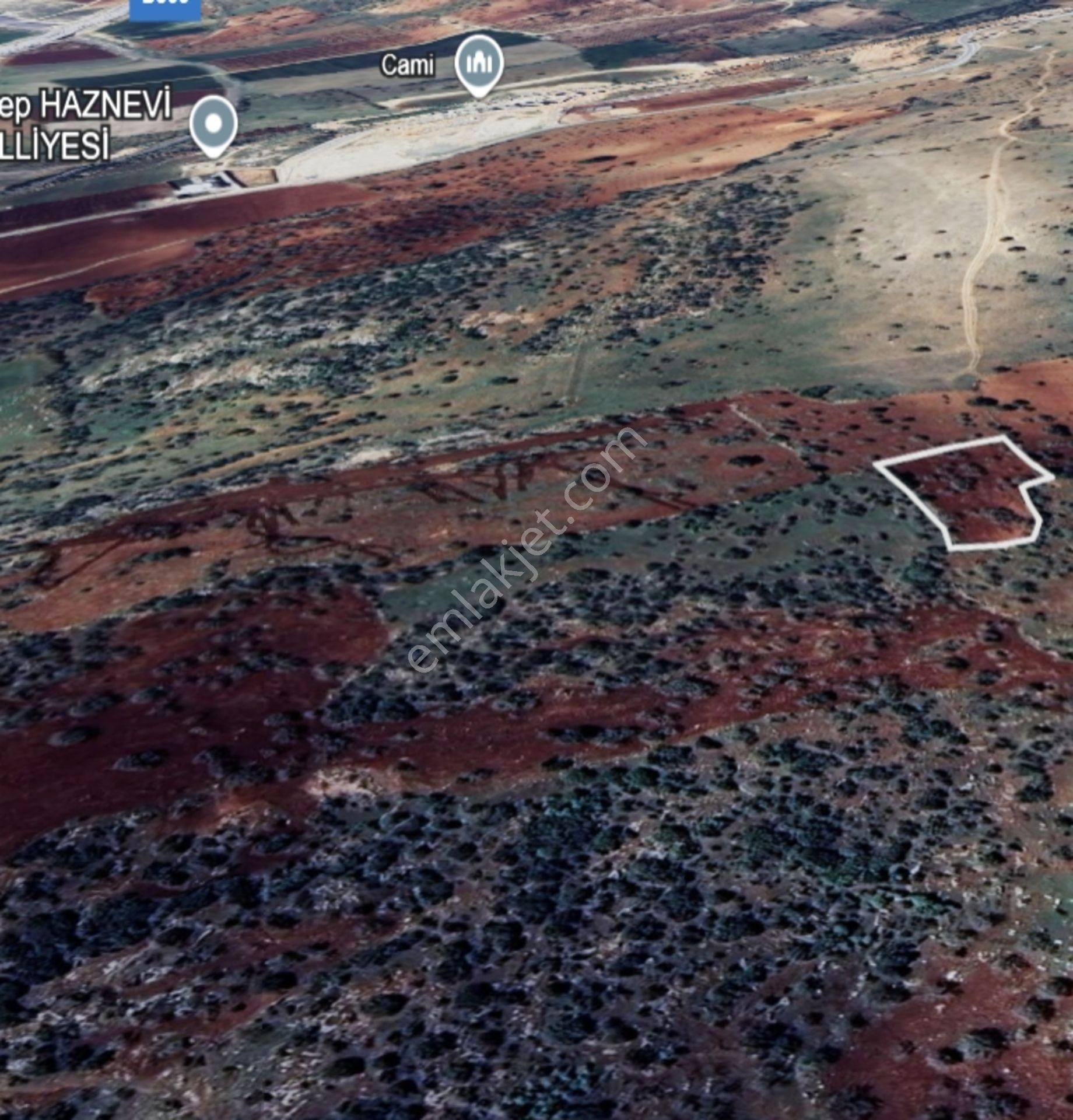 Şehitkamil Yığınlı Da 2.510 M² Tek Tapu Fıstıklık - Görsel 15