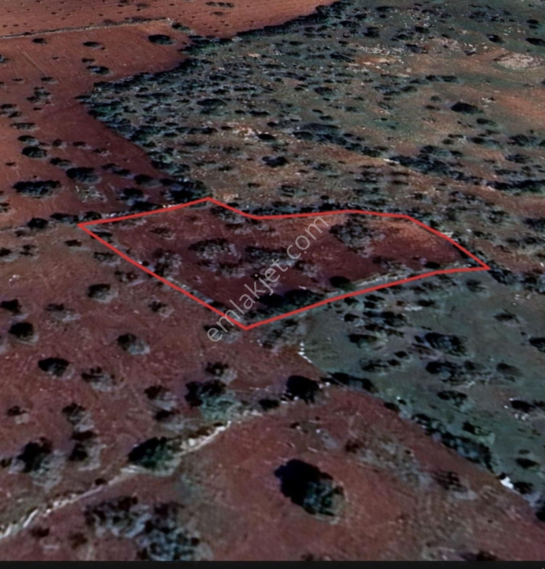 Şehitkamil Yığınlı Da 2.510 M² Tek Tapu Fıstıklık - Görsel 9