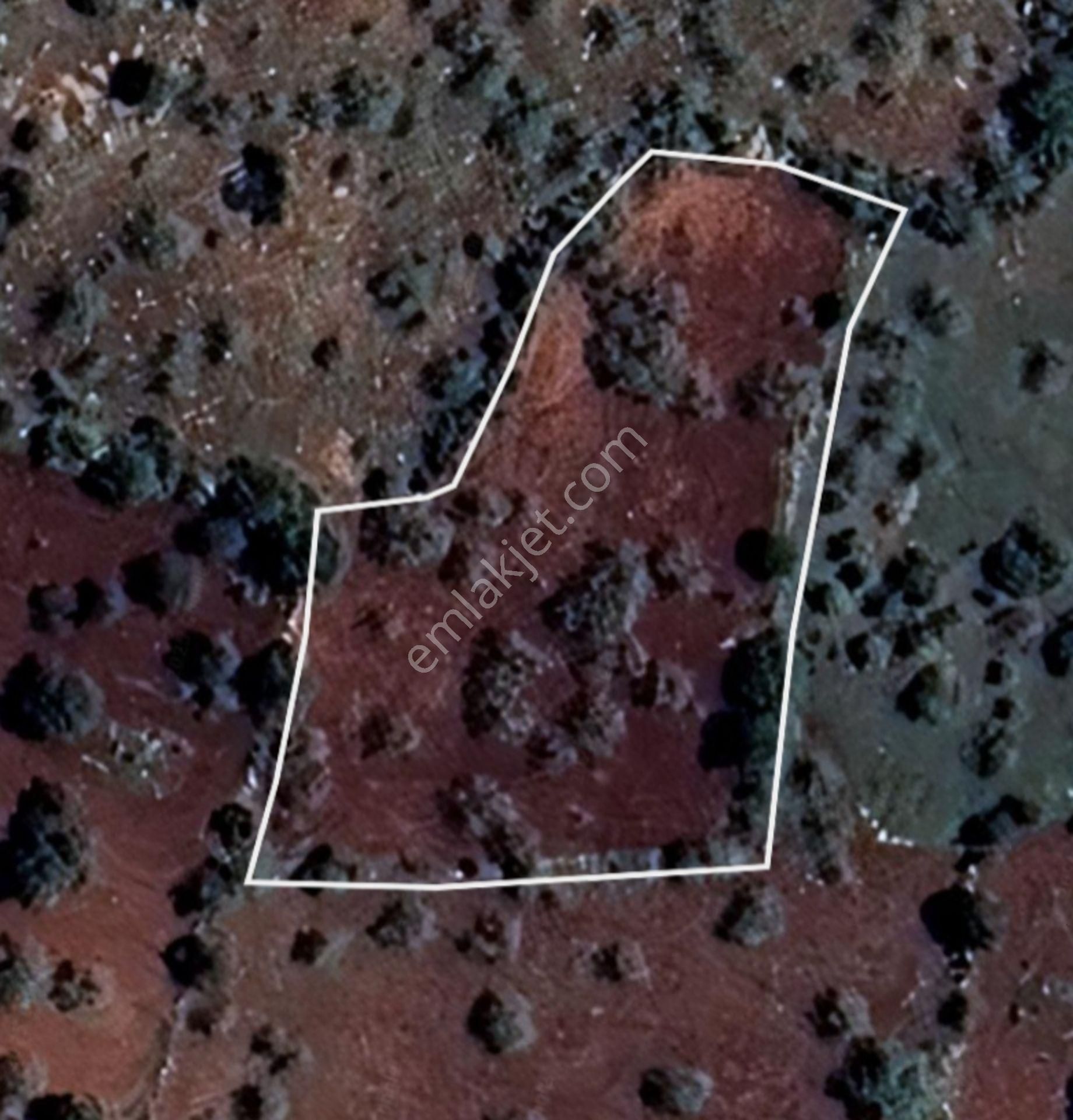 Şehitkamil Yığınlı Da 2.510 M² Tek Tapu Fıstıklık - Görsel 21