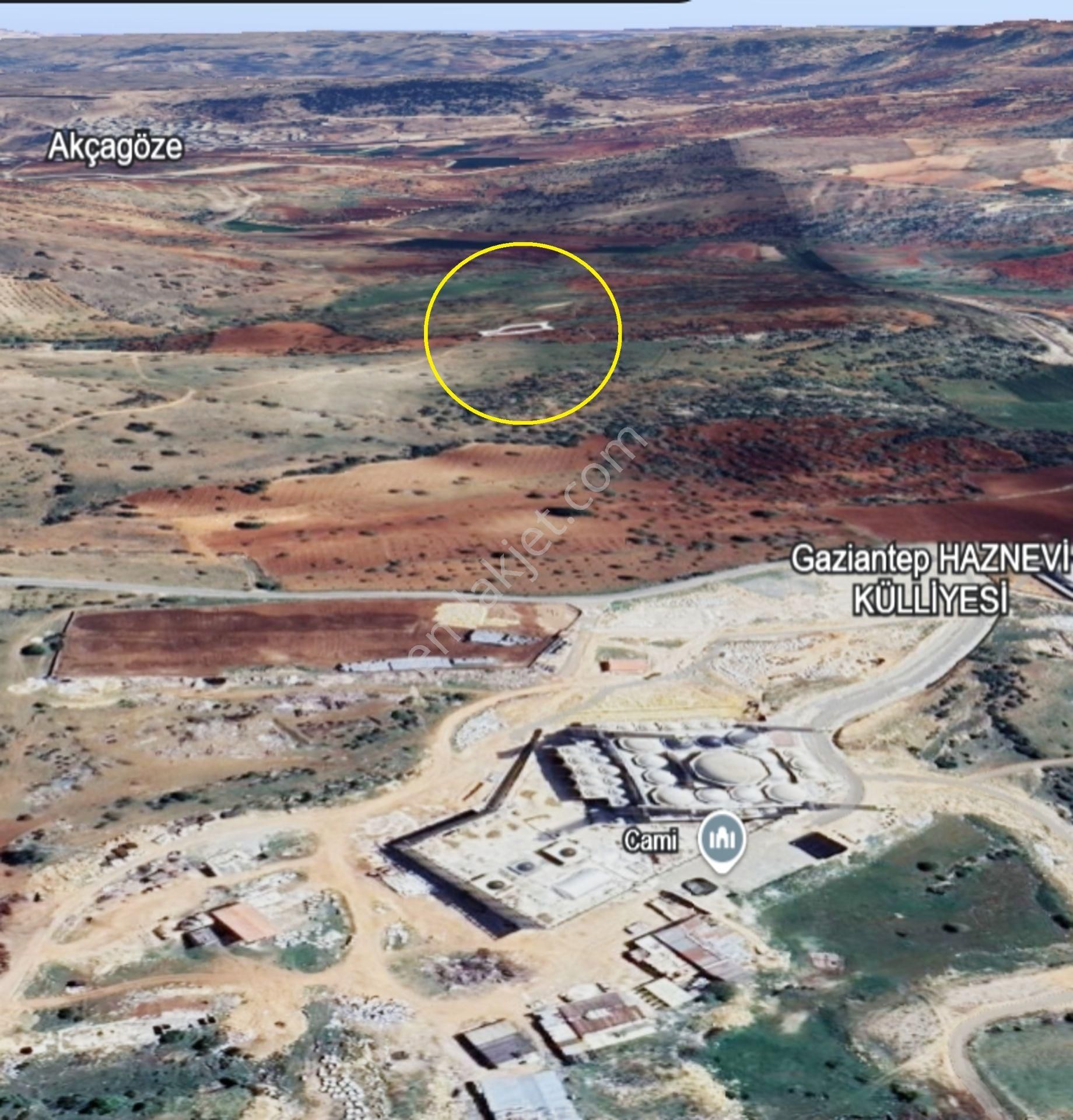 Şehitkamil Yığınlı Da 2.510 M² Tek Tapu Fıstıklık - Görsel 4