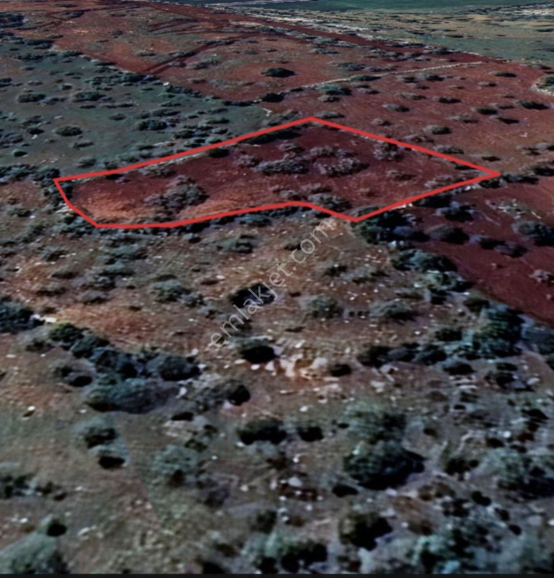 Şehitkamil Yığınlı Da 2.510 M² Tek Tapu Fıstıklık - Görsel 10