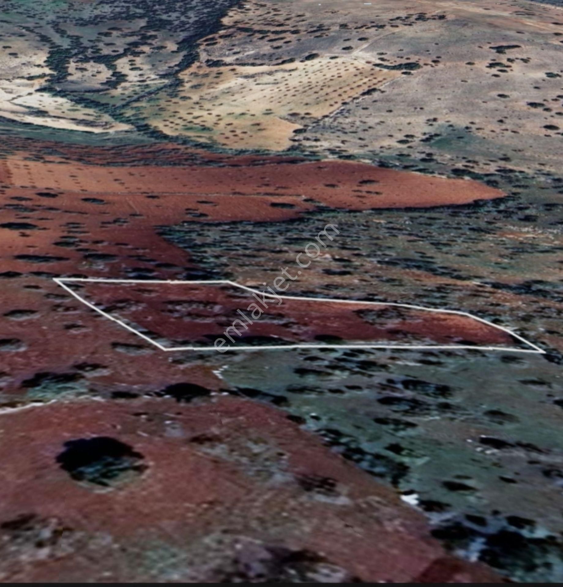 Şehitkamil Yığınlı Da 2.510 M² Tek Tapu Fıstıklık - Görsel 17