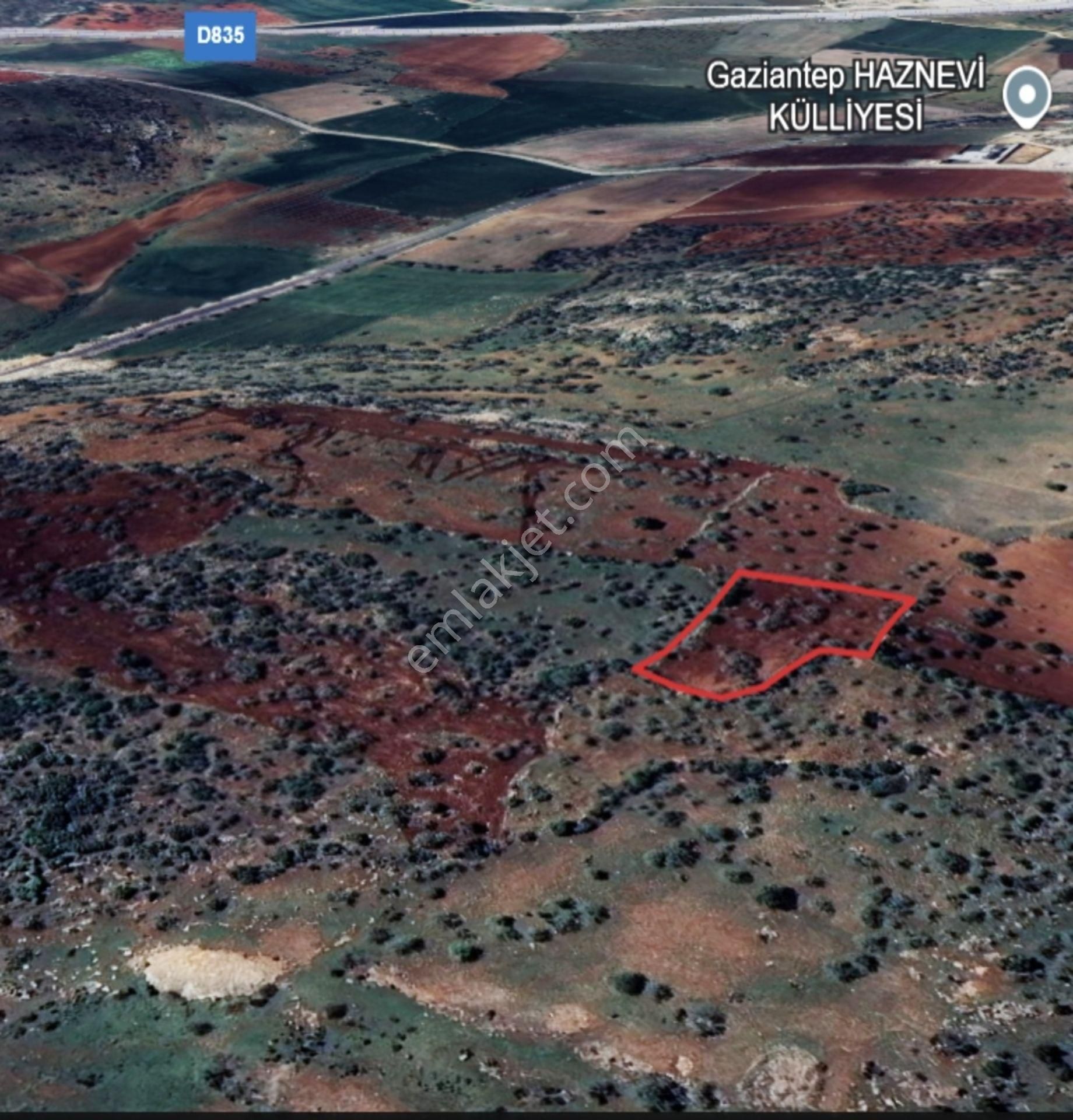 Şehitkamil Yığınlı Da 2.510 M² Tek Tapu Fıstıklık - Görsel 11