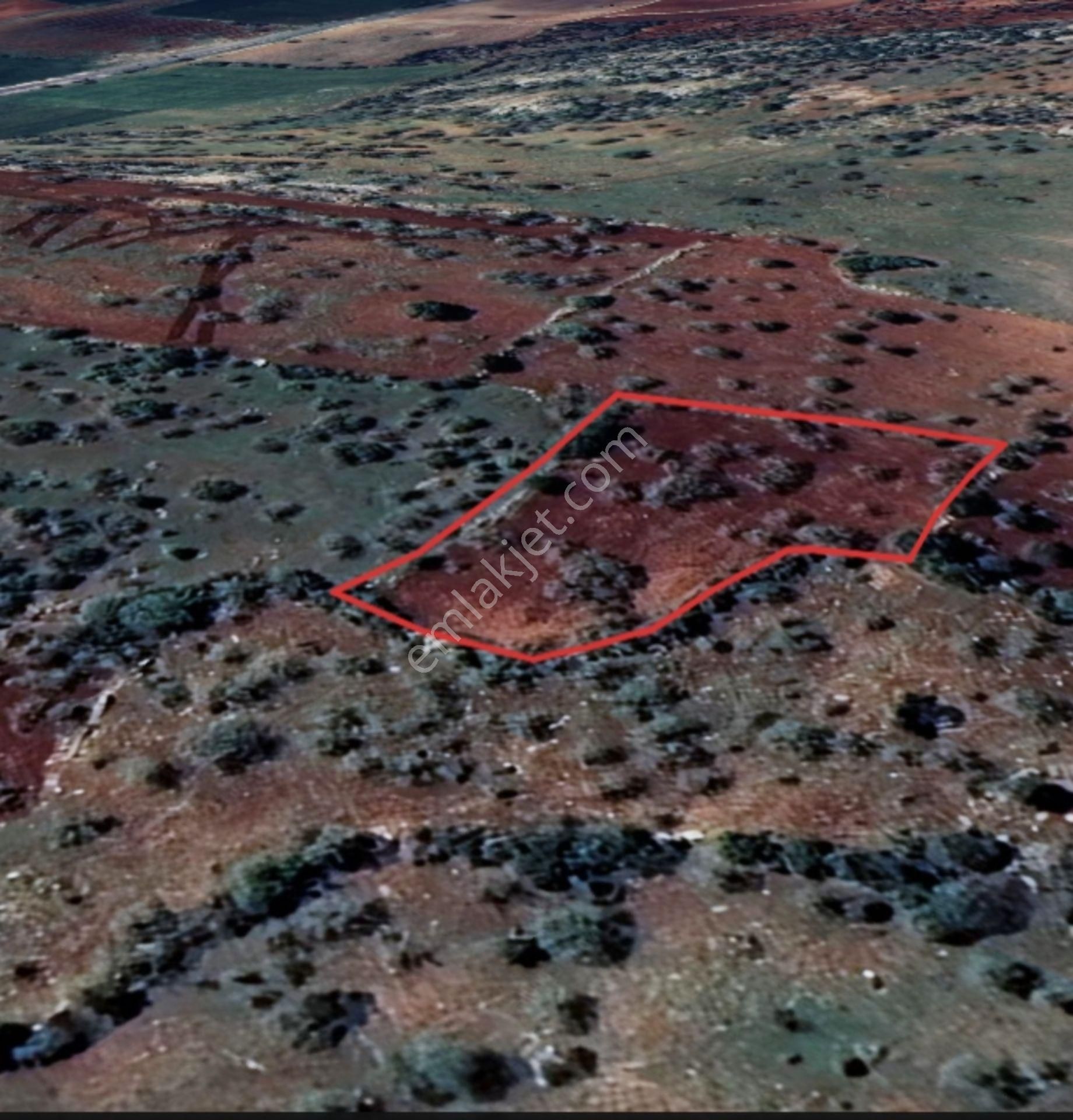 Şehitkamil Yığınlı Da 2.510 M² Tek Tapu Fıstıklık - Görsel 12