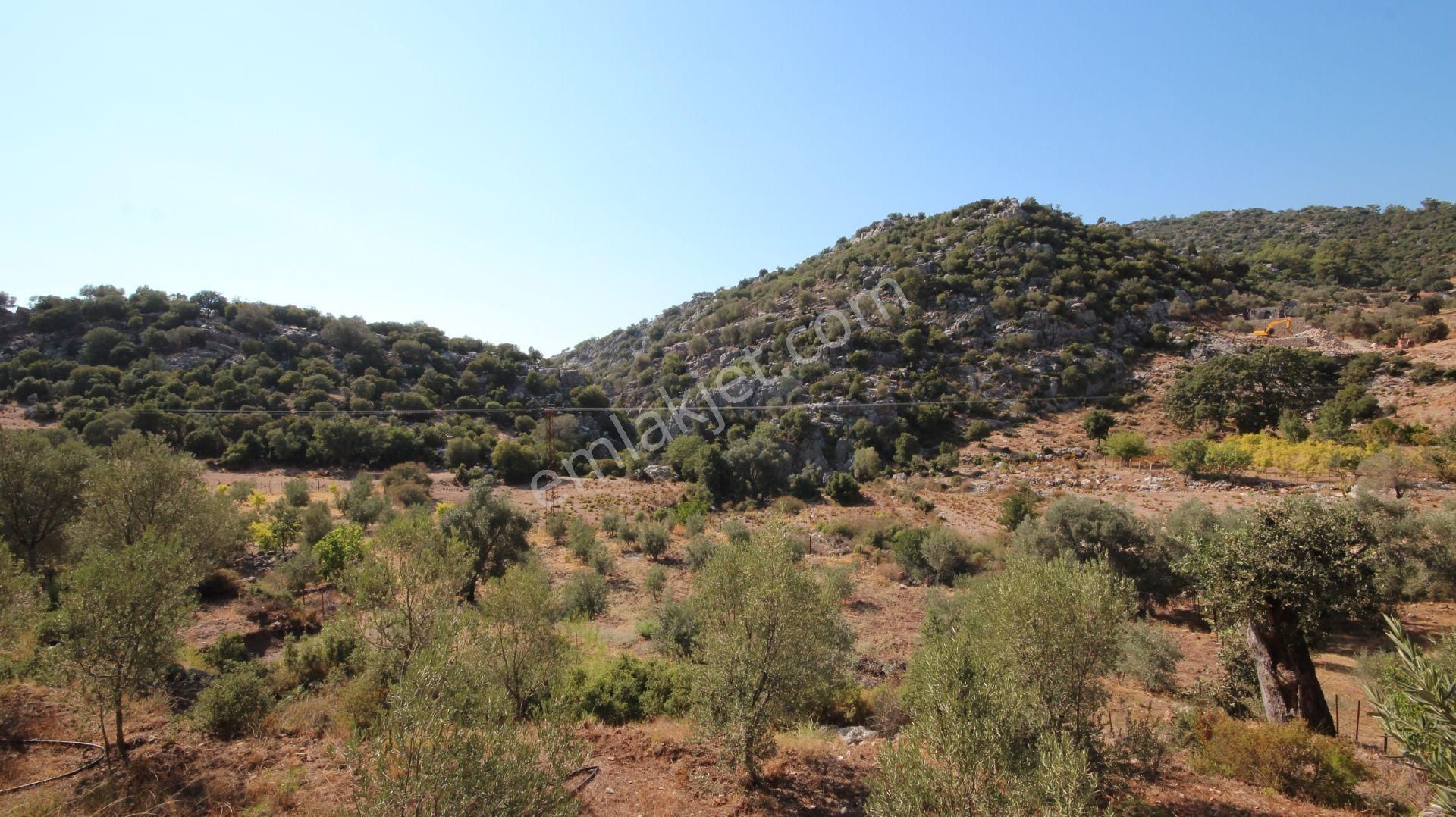 Goldhouse Dan Satılık Tarla Faralya Da 2150m2 Yatırımlık Fırsat - Görsel 5