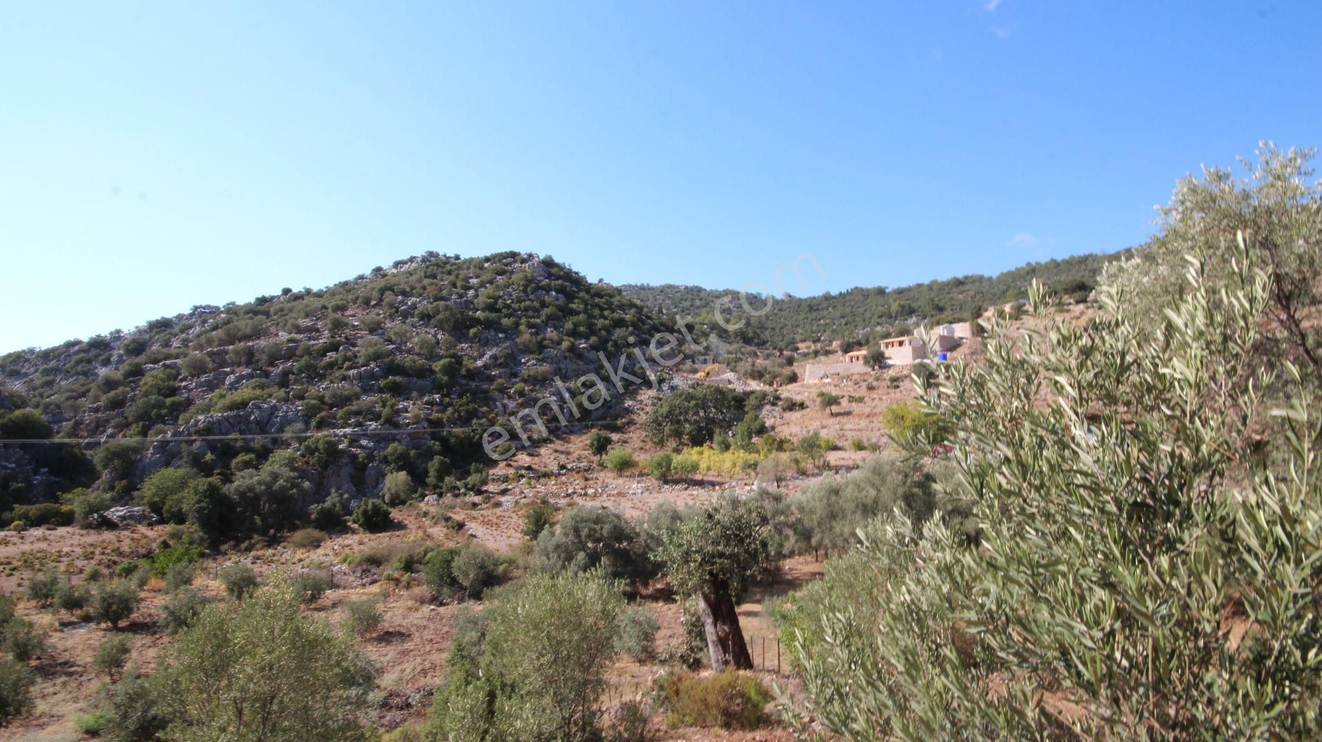 Goldhouse Dan Satılık Tarla Faralya Da 2150m2 Yatırımlık Fırsat - Görsel 6