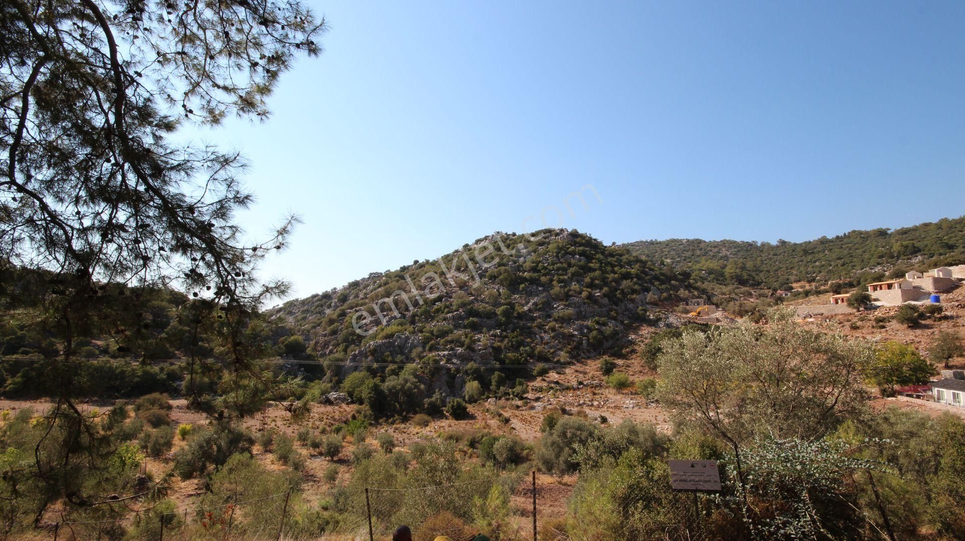 Goldhouse Dan Satılık Tarla Faralya Da 2150m2 Yatırımlık Fırsat - Görsel 8