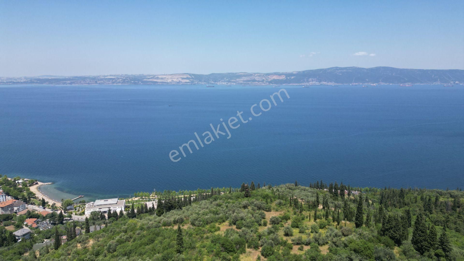 Kocaeli Karamürsel Tepeköy Satılık %5 İmarlı 726 M2 Zeytinlik - Görsel 10