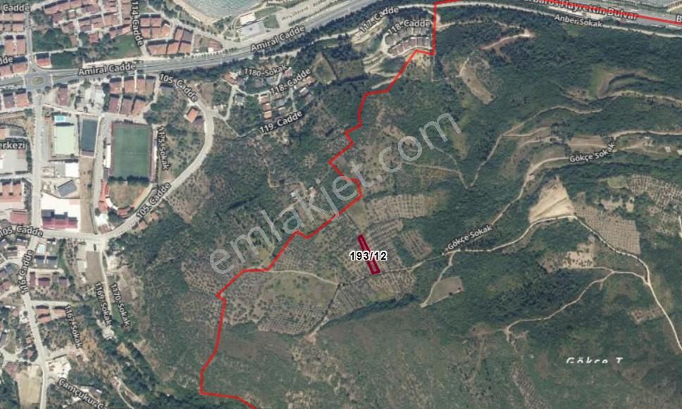 Kocaeli Karamürsel Tepeköy Satılık %5 İmarlı 726 M2 Zeytinlik - Görsel 18