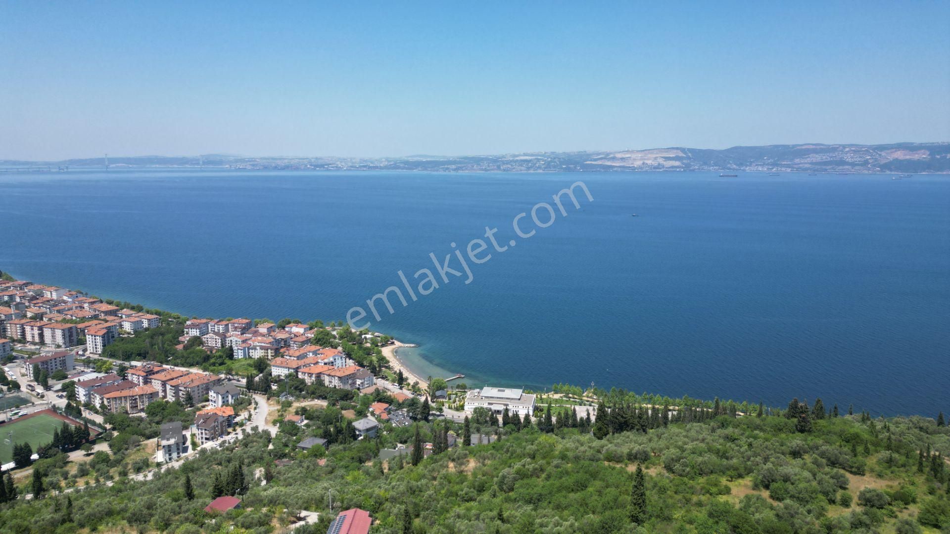 Kocaeli Karamürsel Tepeköy Satılık %5 İmarlı 726 M2 Zeytinlik - Görsel 9