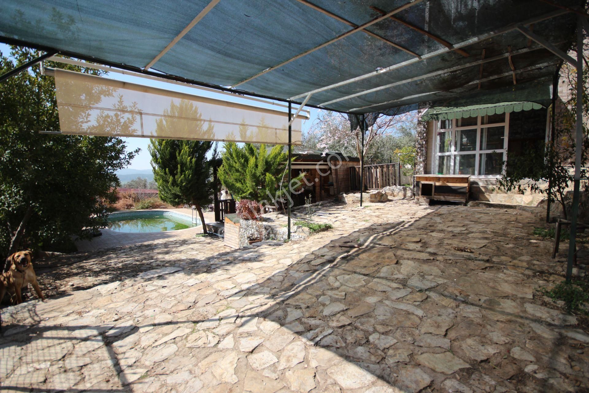Goldhouse Dan Satılık Villa 360m2 Arsa İçinde Havuzlu 3+1 Fırsat - Görsel 35