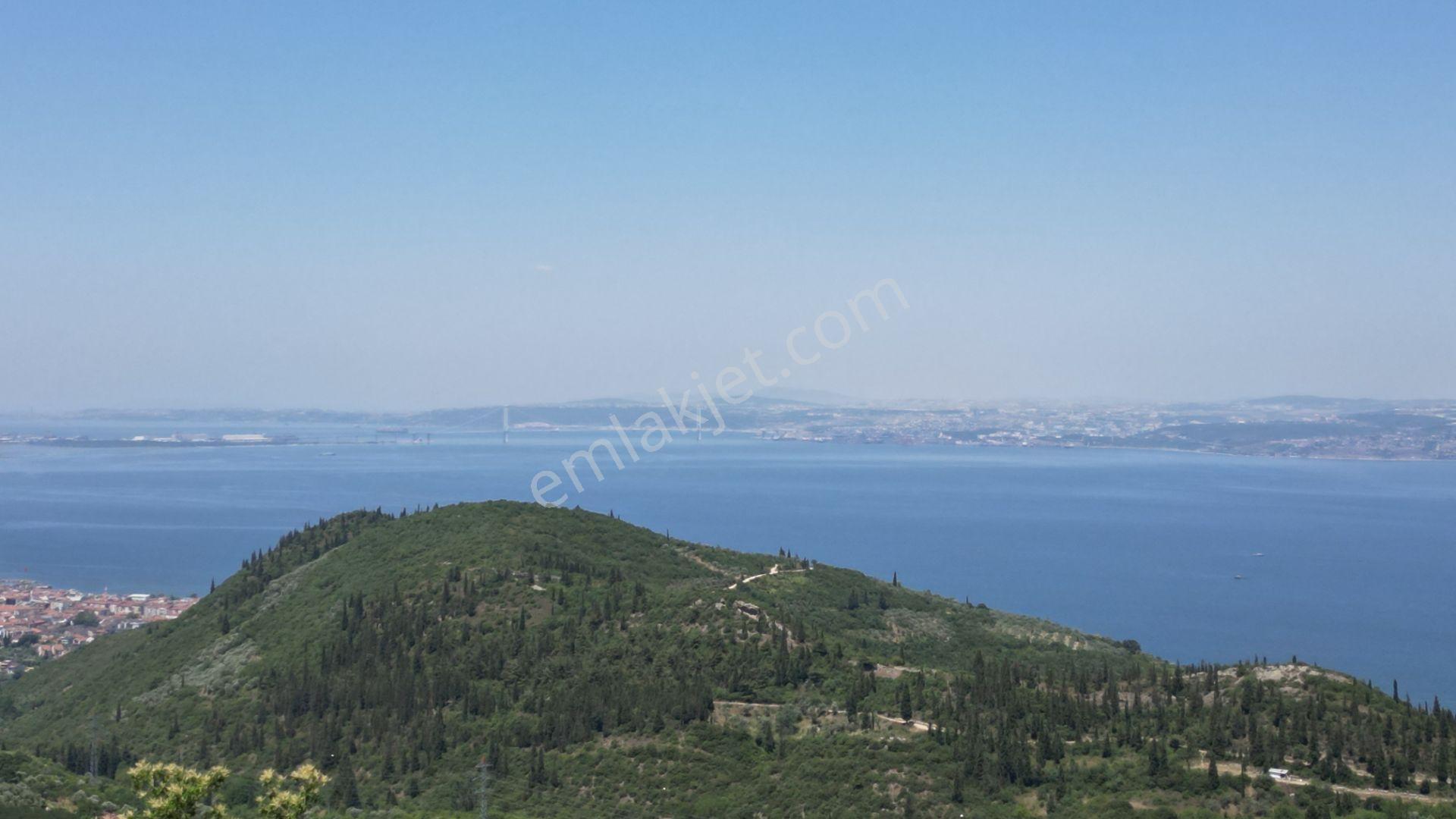 Kocaeli Karamürsel Tepeköy Satılık 4758 M2 %5 İmarlı Bahçe - Görsel 13
