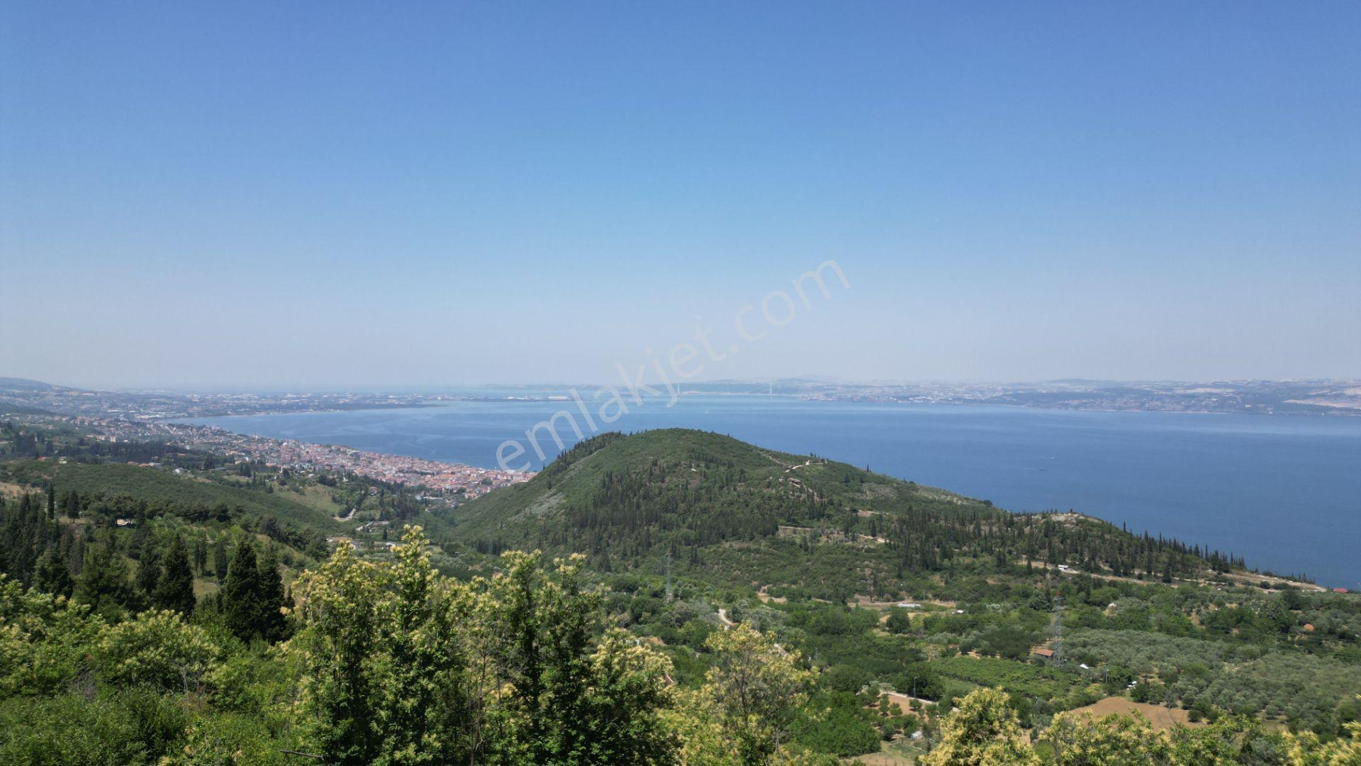 Kocaeli Karamürsel Tepeköy Satılık 4758 M2 %5 İmarlı Bahçe - Görsel 12