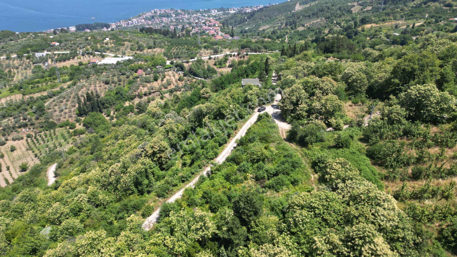 Kocaeli Karamürsel Tepeköy Satılık 4758 M2 %5 İmarlı Bahçe - Görsel 4
