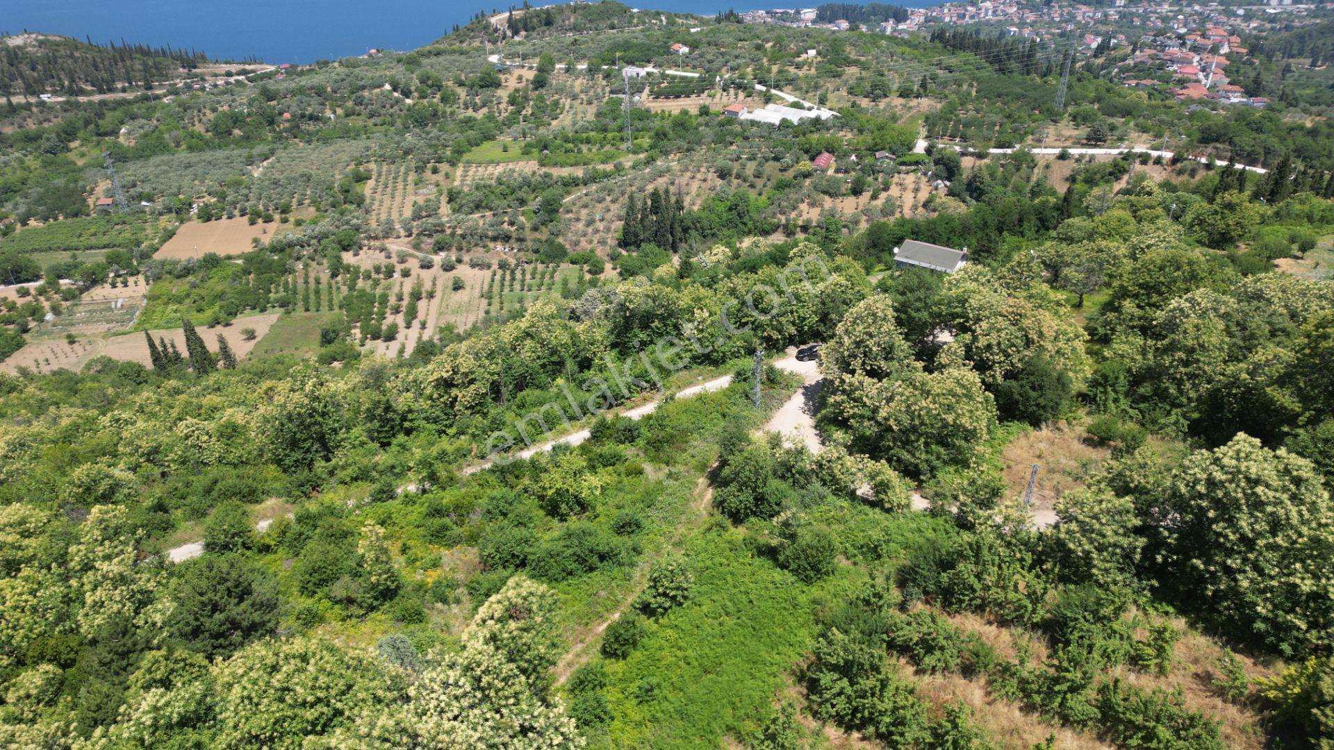 Kocaeli Karamürsel Tepeköy Satılık 4758 M2 %5 İmarlı Bahçe - Görsel 7