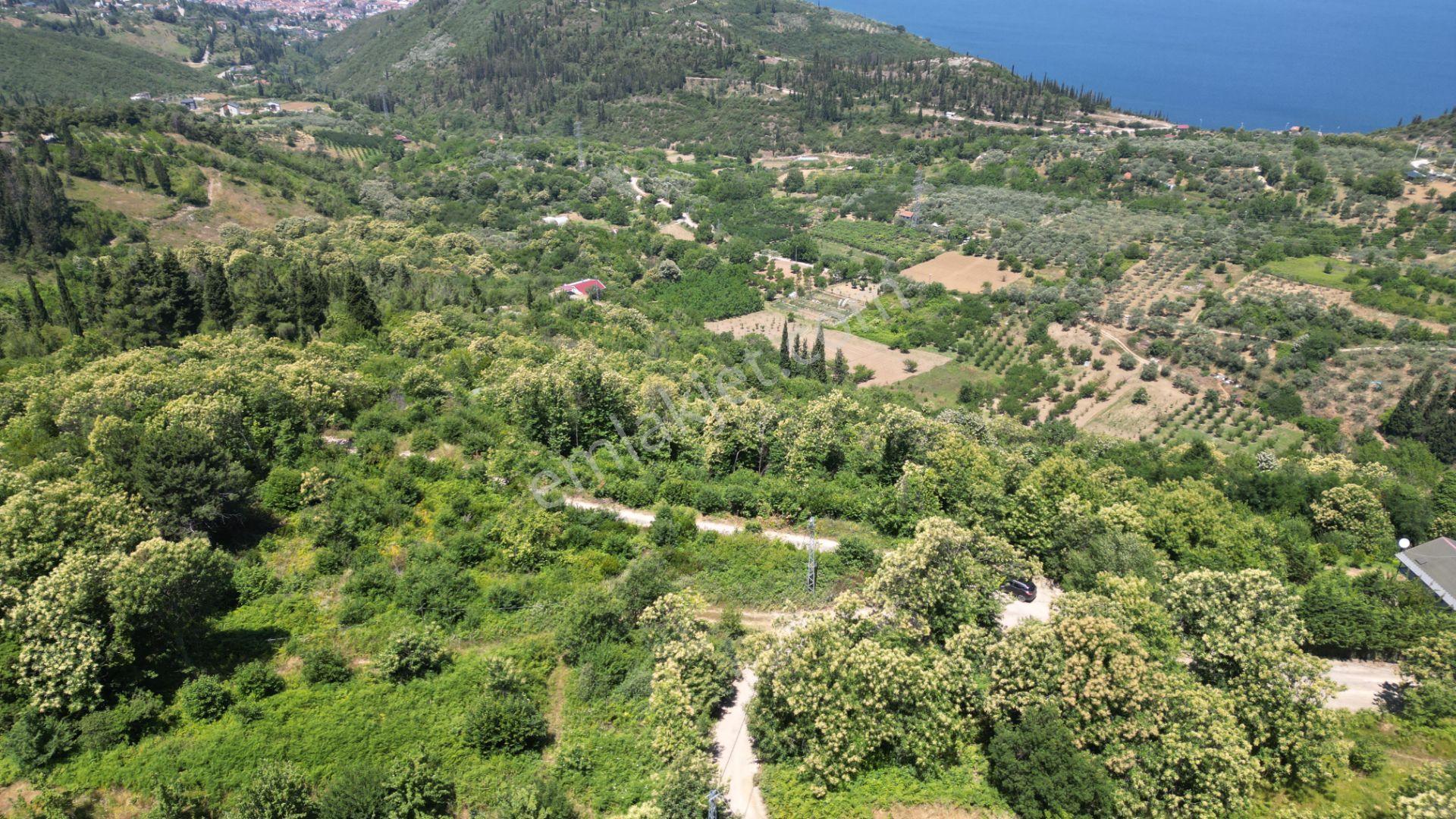 Kocaeli Karamürsel Tepeköy Satılık 4758 M2 %5 İmarlı Bahçe - Görsel 2