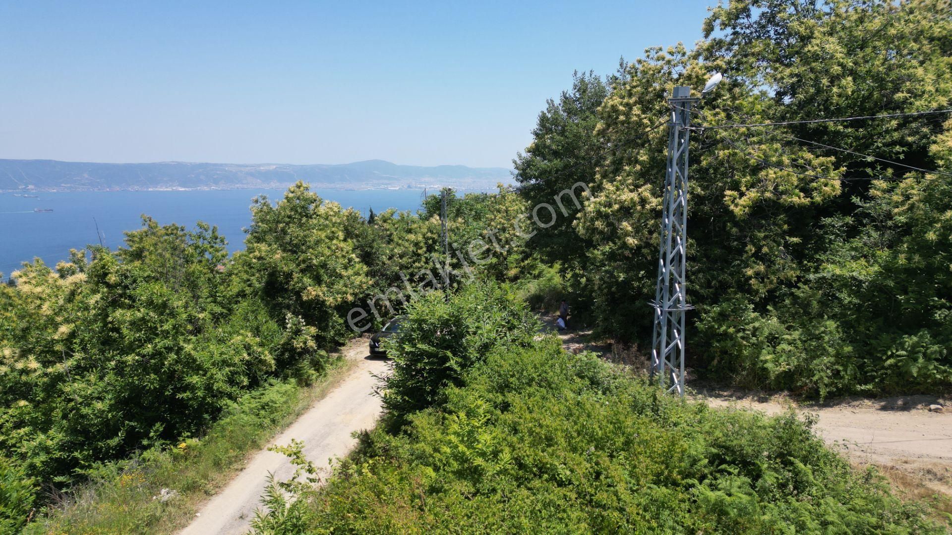 Kocaeli Karamürsel Tepeköy Satılık 4758 M2 %5 İmarlı Bahçe - Görsel 14