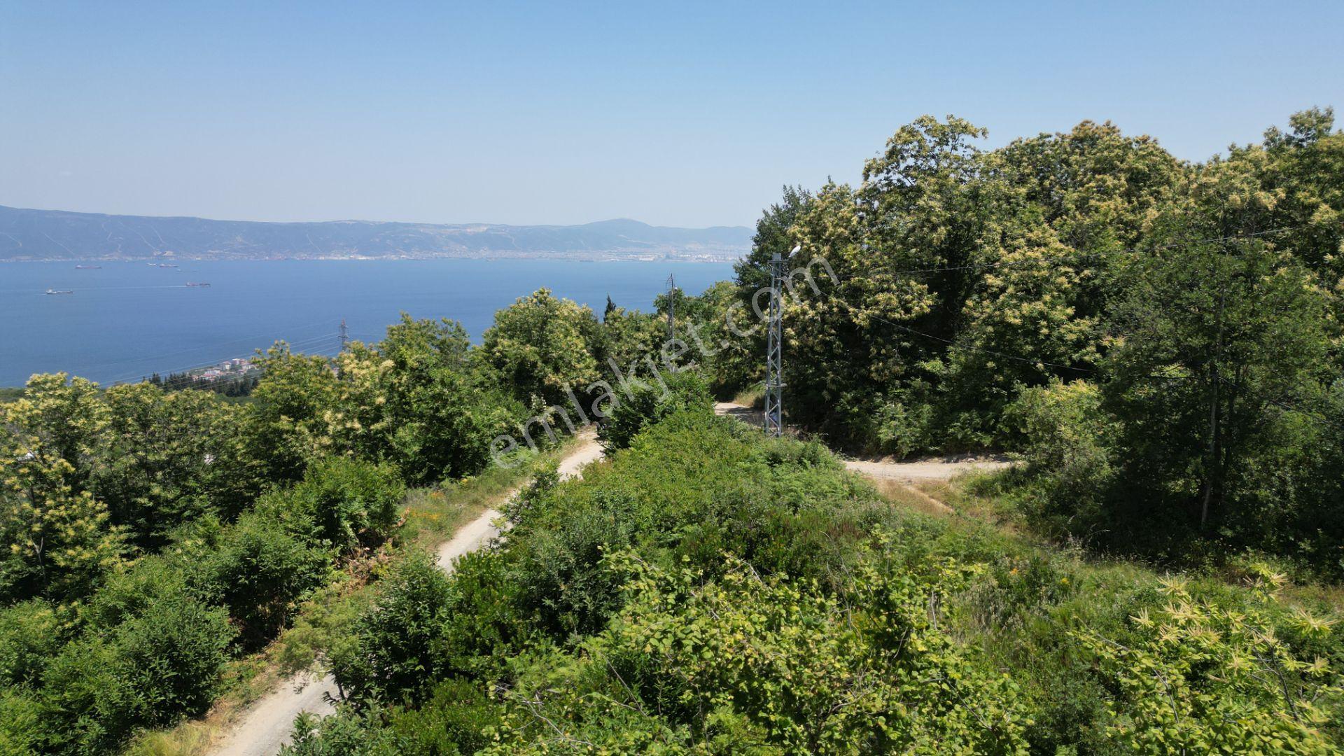 Kocaeli Karamürsel Tepeköy Satılık 4758 M2 %5 İmarlı Bahçe - Görsel 15