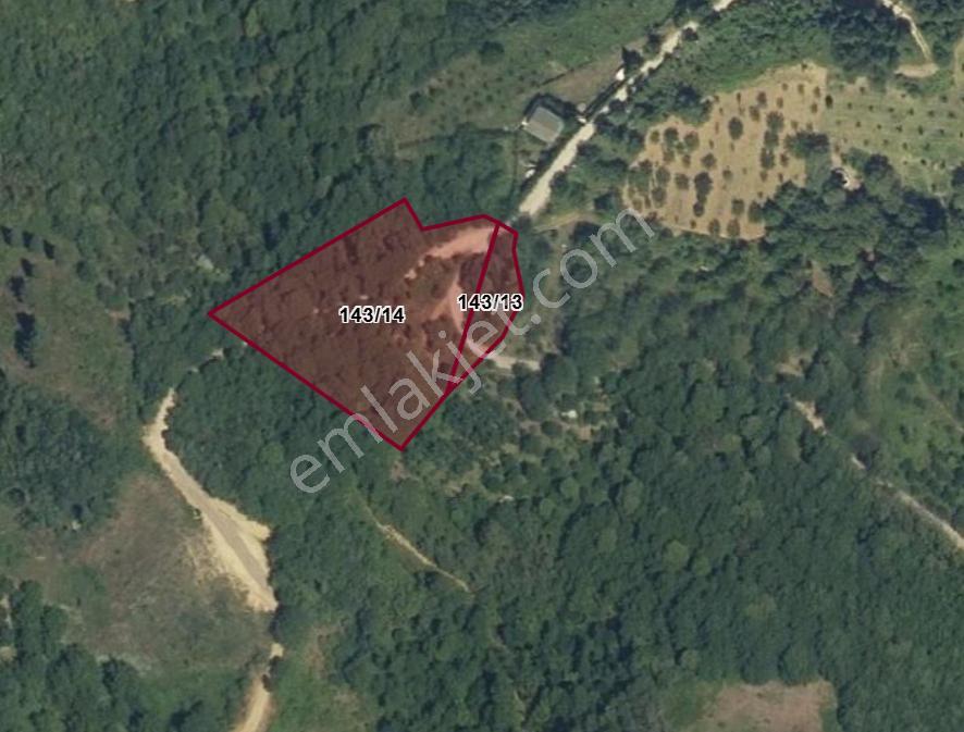 Kocaeli Karamürsel Tepeköy Satılık 4758 M2 %5 İmarlı Bahçe - Görsel 21