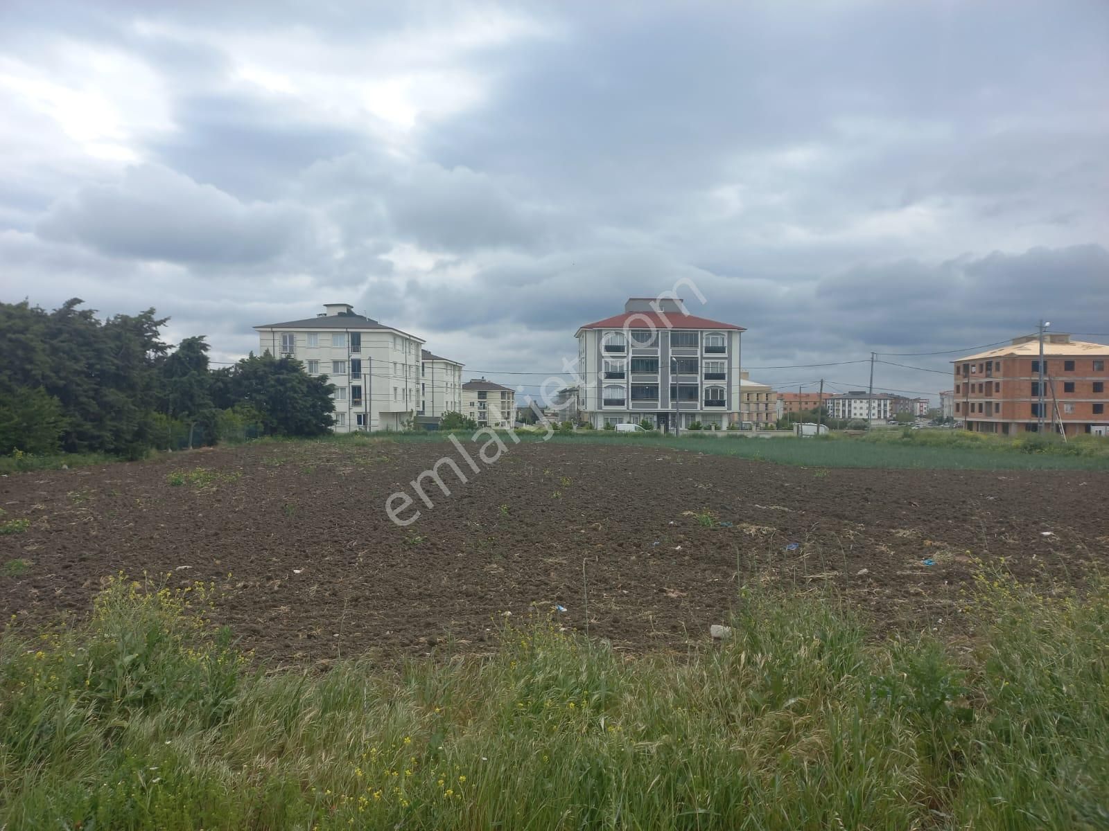 Satılık Arsa Selimpaşa Yoğurthanede Özgüvener Emlakinşaat Tan - Görsel 8