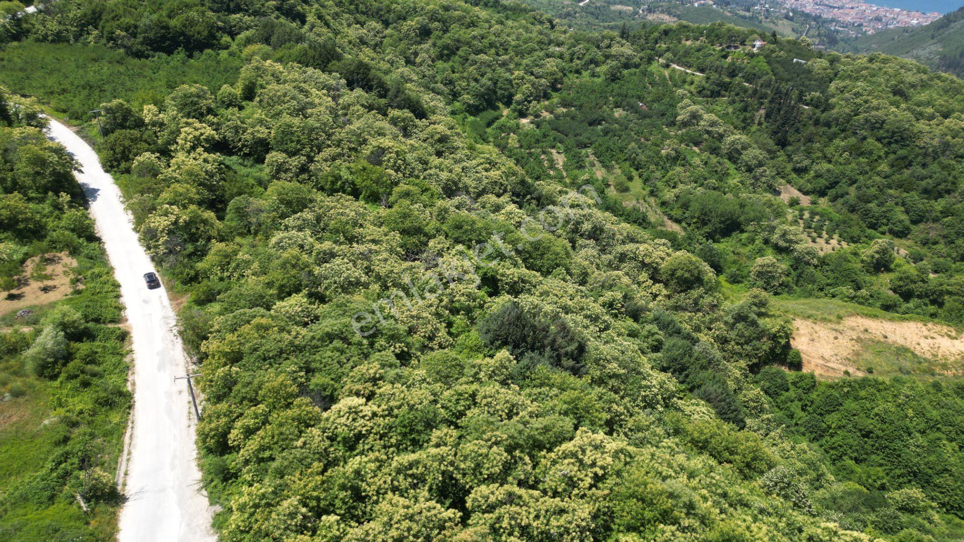 Kocaeli Karamürsel Tepeköy Satılık %5 İmarlı 29.722 M2 Bahçe - Görsel 8