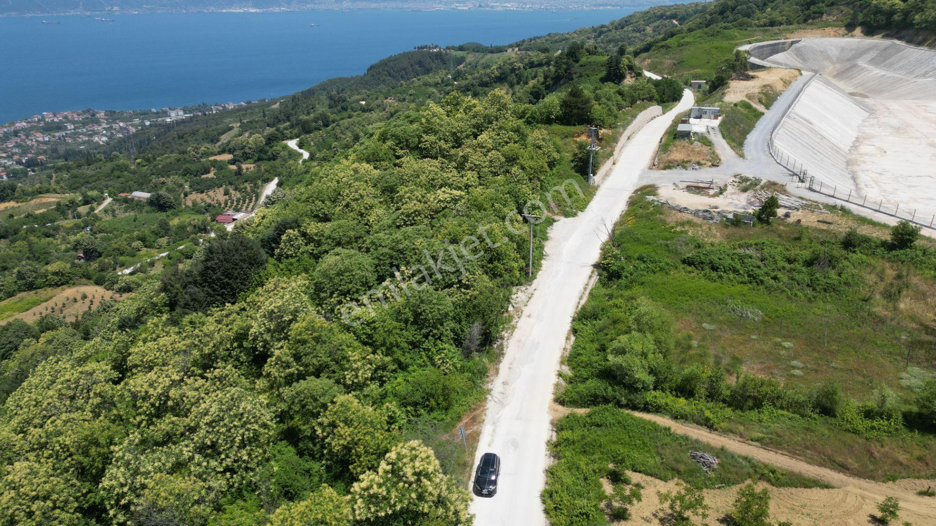 Kocaeli Karamürsel Tepeköy Satılık %5 İmarlı 29.722 M2 Bahçe - Görsel 14