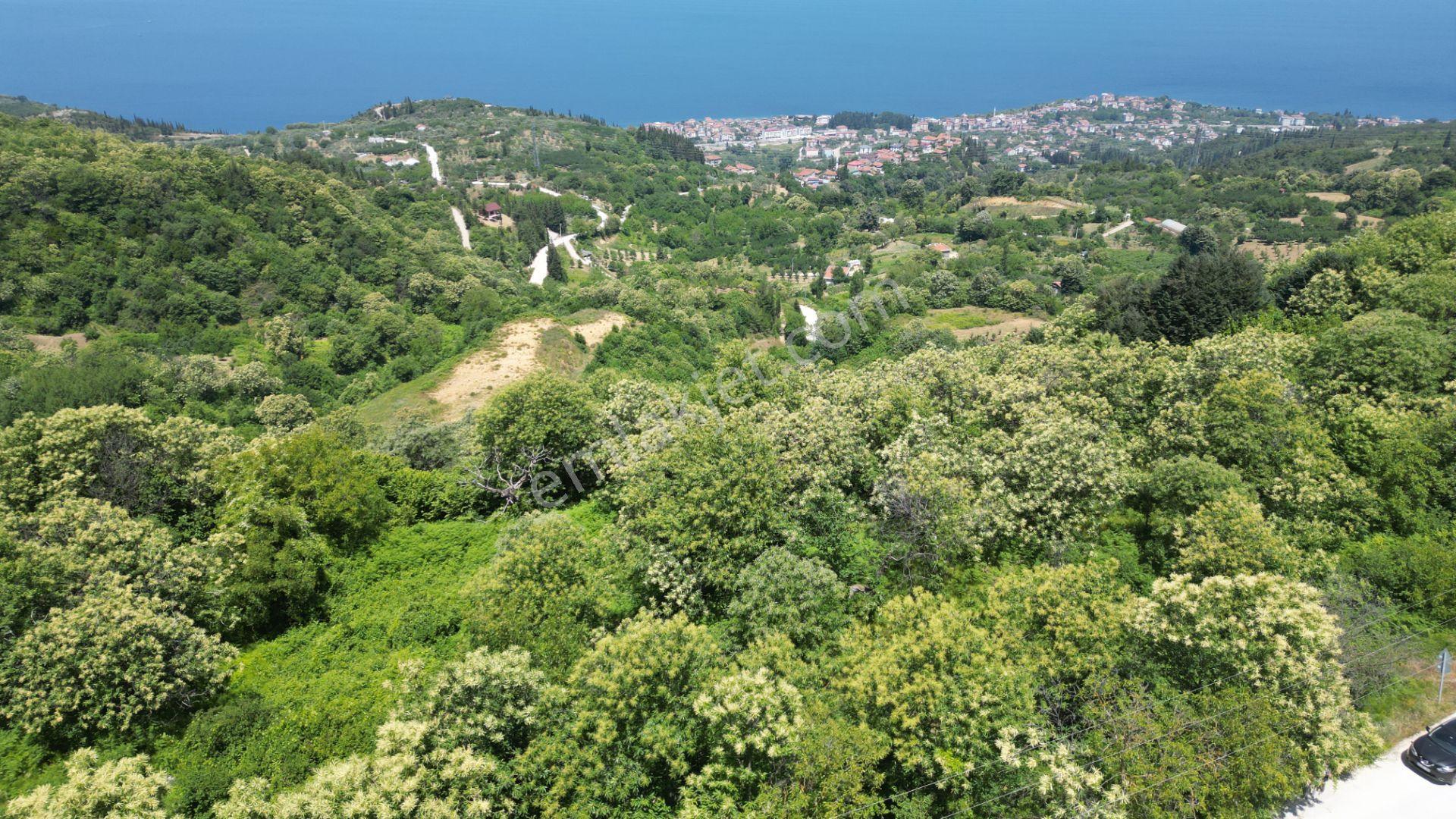 Kocaeli Karamürsel Tepeköy Satılık %5 İmarlı 29.722 M2 Bahçe - Görsel 16