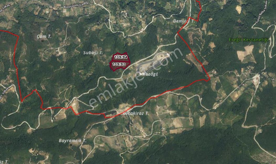 Kocaeli Karamürsel Tepeköy Satılık %5 İmarlı 29.722 M2 Bahçe - Görsel 20