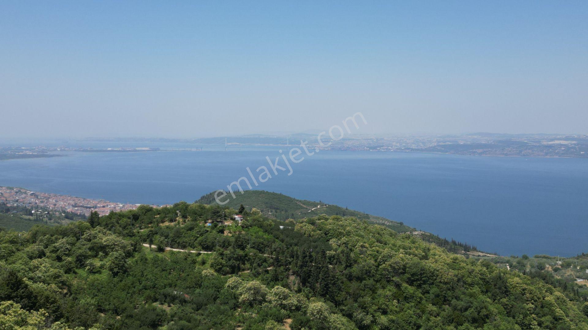 Kocaeli Karamürsel Tepeköy Satılık %5 İmarlı 29.722 M2 Bahçe - Görsel 18