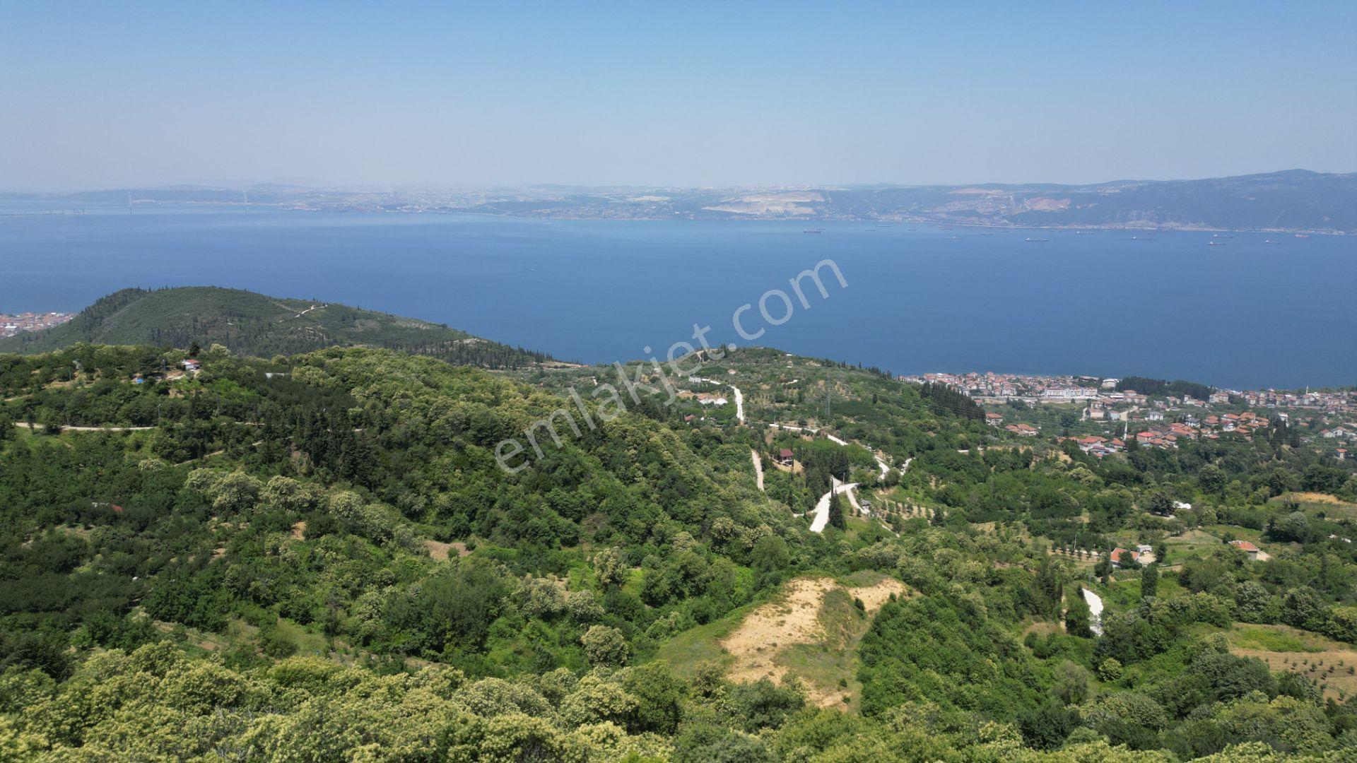 Kocaeli Karamürsel Tepeköy Satılık %5 İmarlı 29.722 M2 Bahçe - Görsel 6
