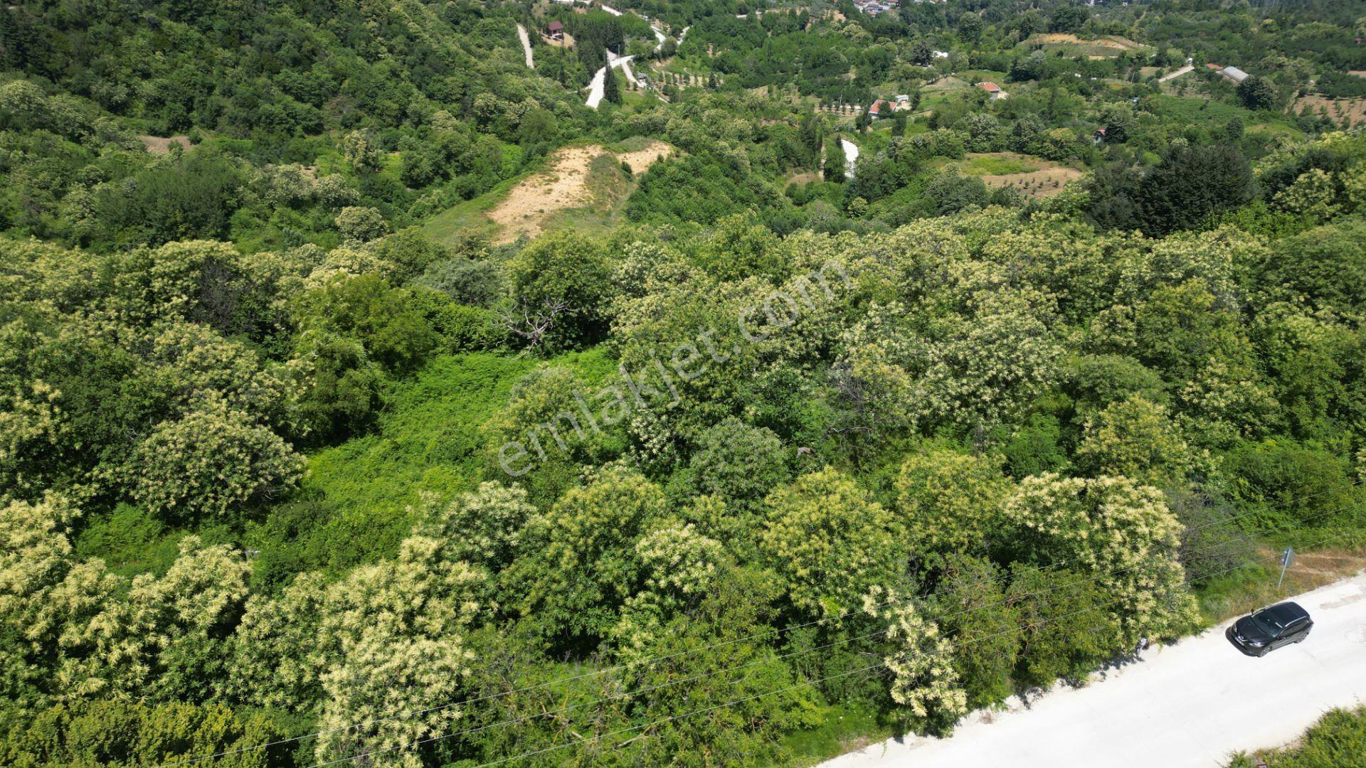 Kocaeli Karamürsel Tepeköy Satılık %5 İmarlı 29.722 M2 Bahçe - Görsel 13