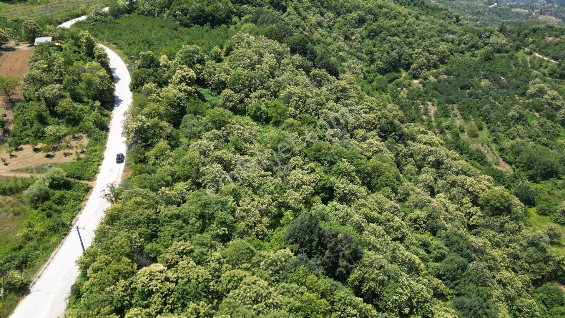 Kocaeli Karamürsel Tepeköy Satılık %5 İmarlı 29.722 M2 Bahçe - Görsel 9