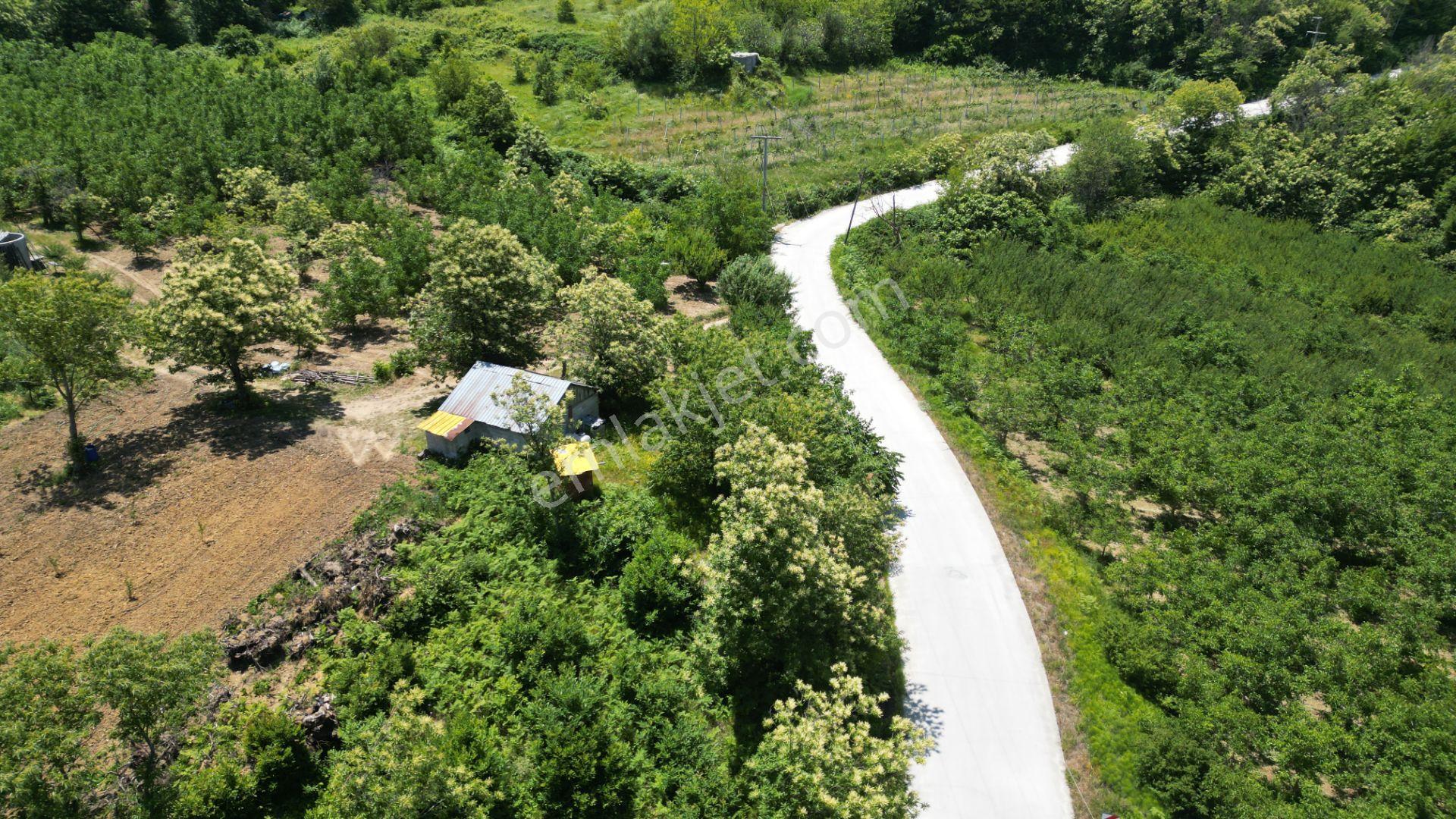 Kocaeli Karamürsel Tepeköy Satılık %5 İmarlı 29.722 M2 Bahçe - Görsel 15