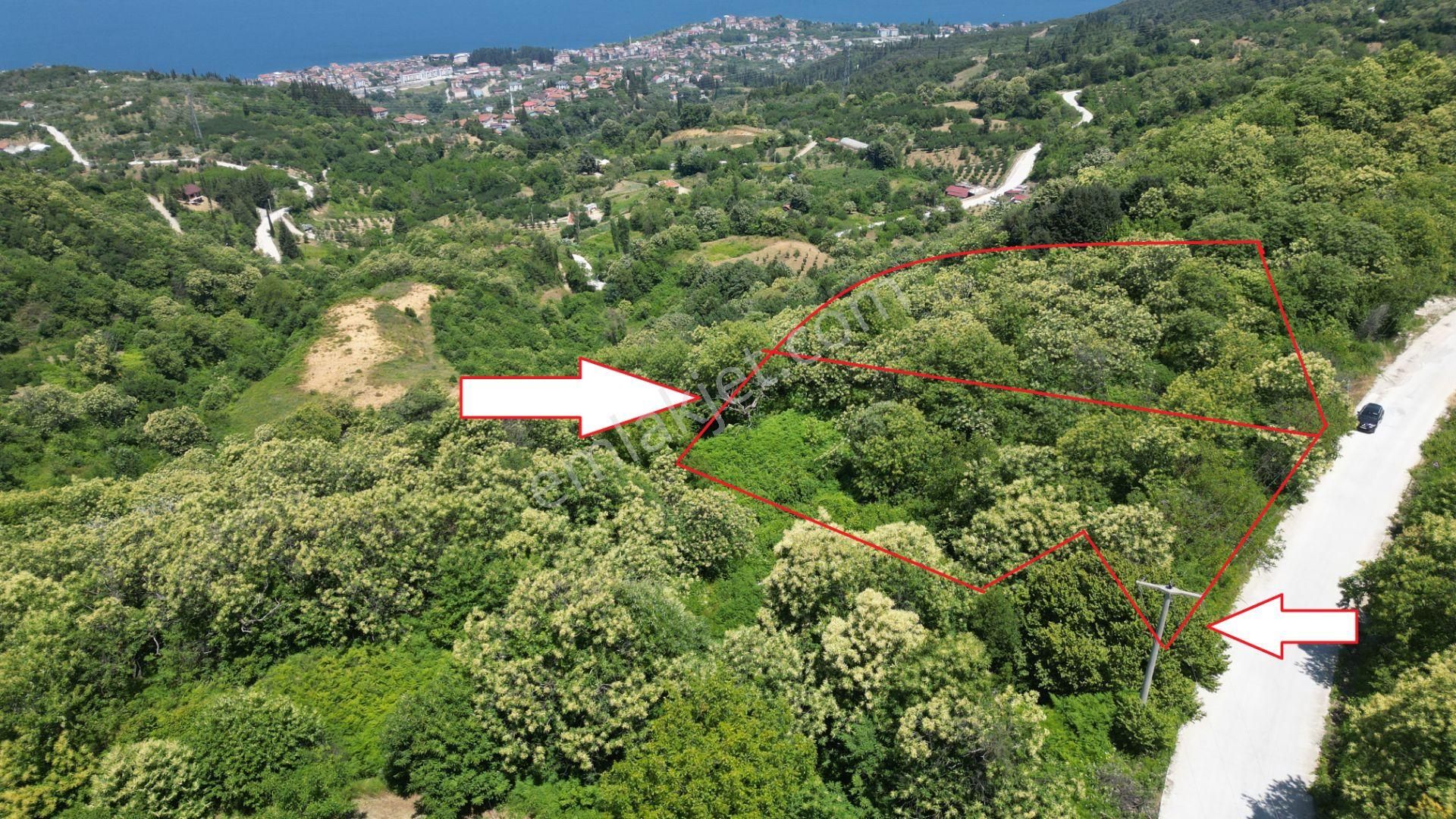 Kocaeli Karamürsel Tepeköy Satılık %5 İmarlı 29.722 M2 Bahçe