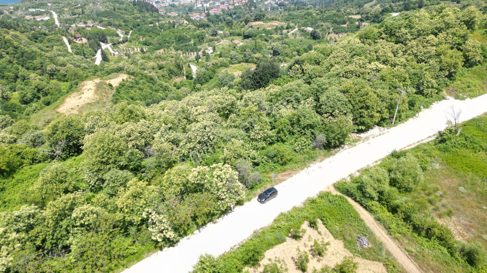 Kocaeli Karamürsel Tepeköy Satılık %5 İmarlı 29.722 M2 Bahçe - Görsel 2