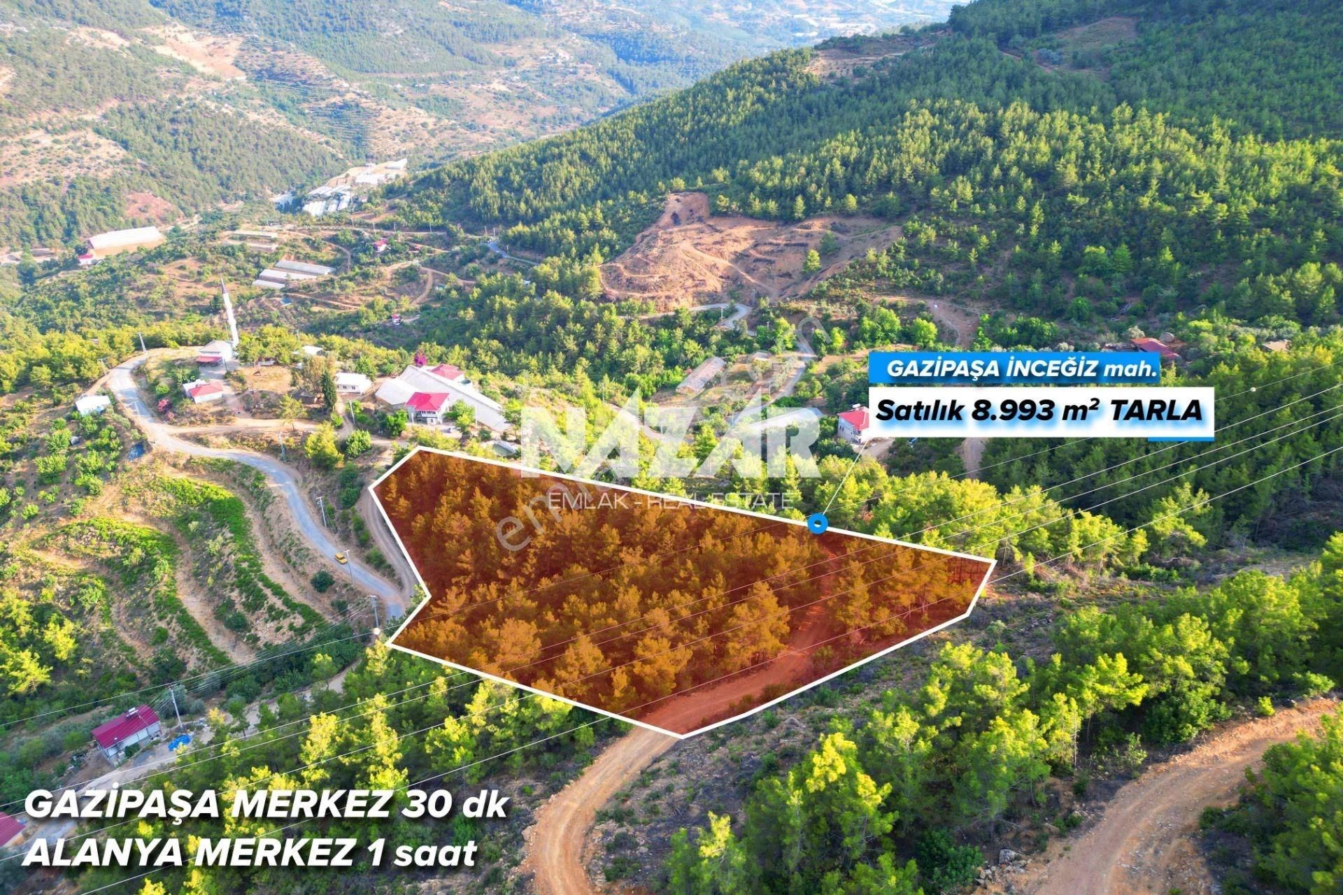 Gazipaşa İnceğiz'de Satılık 8.993 M² Tarla