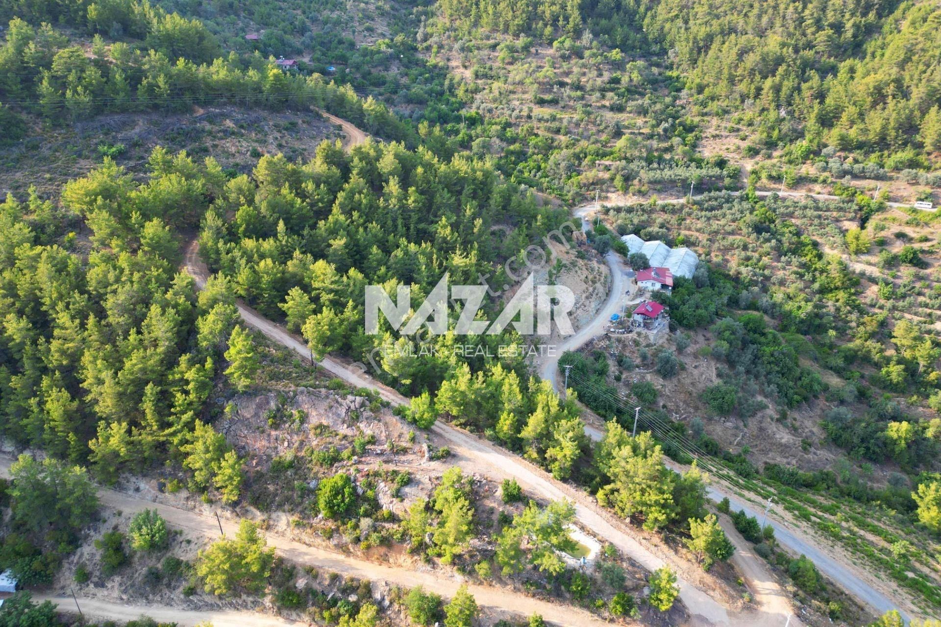 Gazipaşa İnceğiz'de Satılık 8.993 M² Tarla - Görsel 9