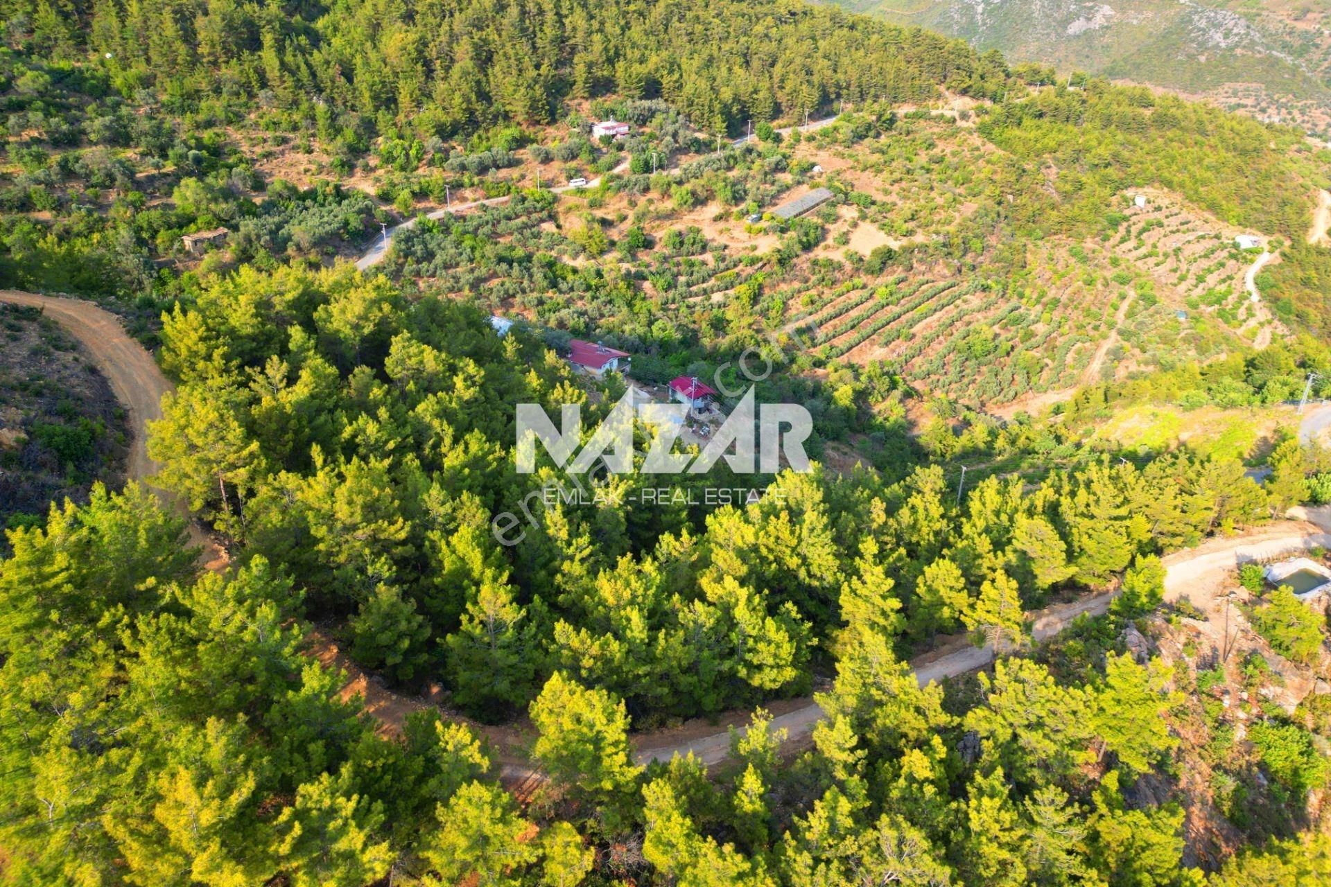 Gazipaşa İnceğiz'de Satılık 8.993 M² Tarla - Görsel 6