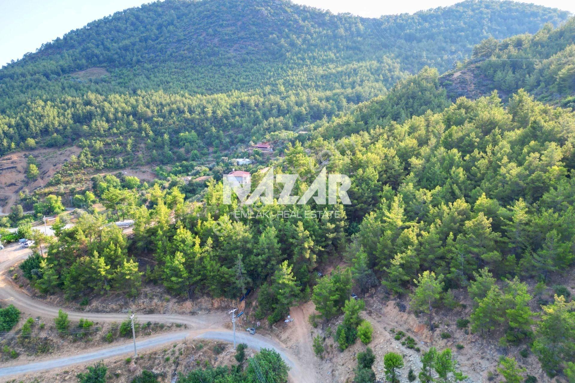 Gazipaşa İnceğiz'de Satılık 8.993 M² Tarla - Görsel 13