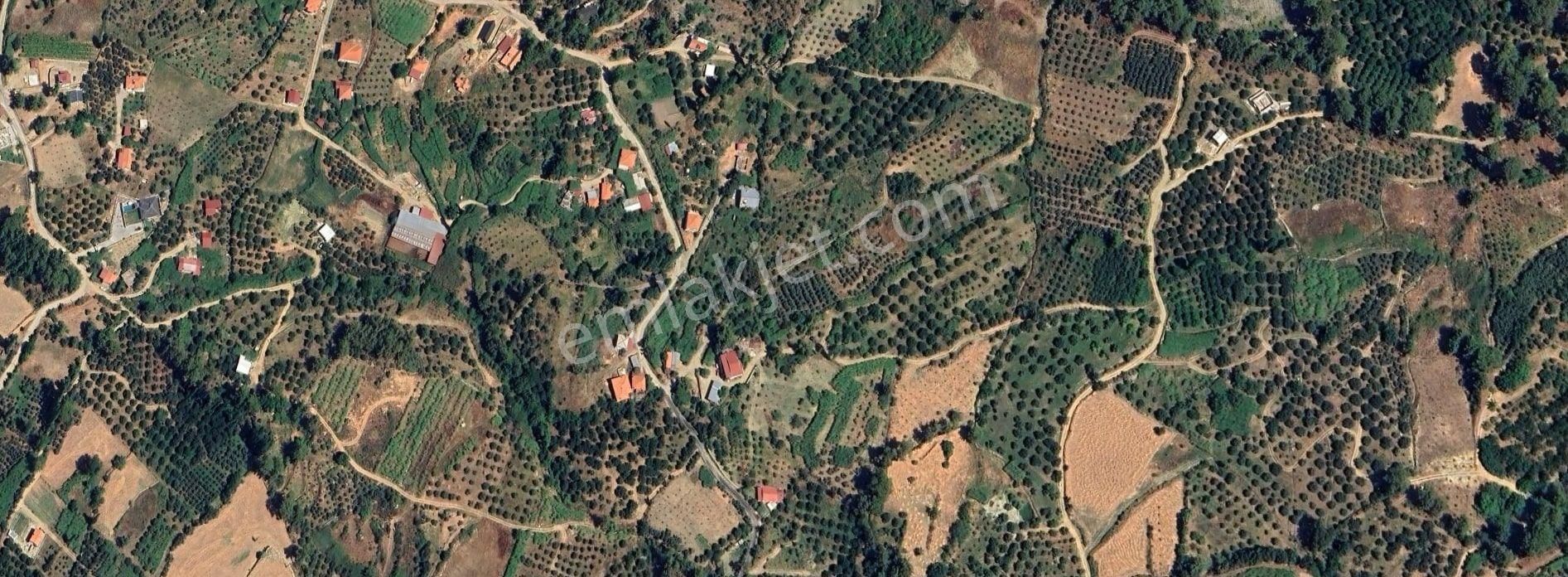 Goldhouse Dan Satılık Tarla Seydikemerde 2710 M2 - Görsel 5
