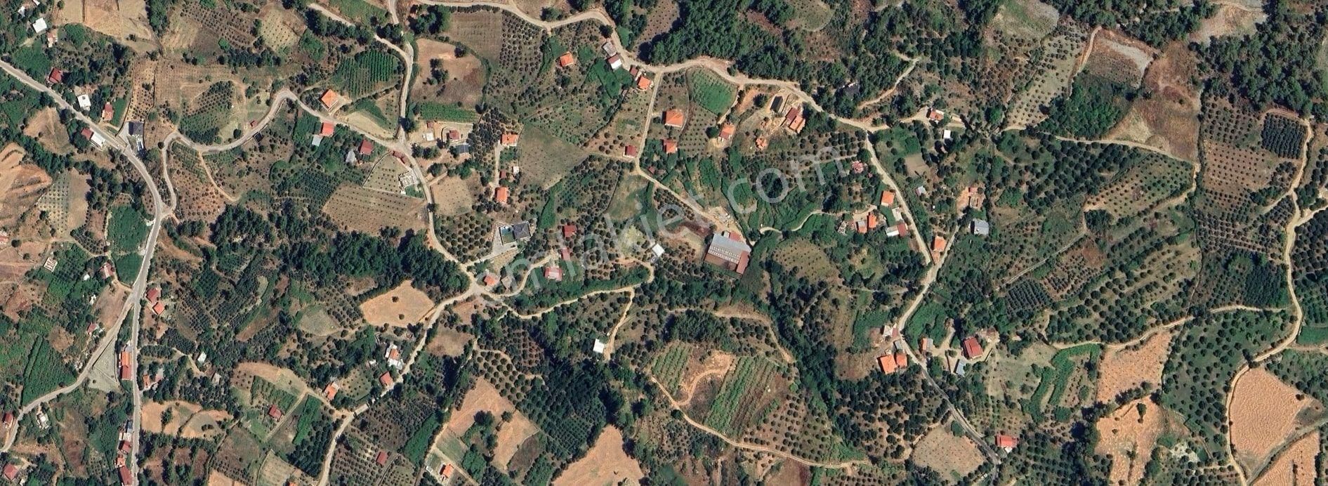 Goldhouse Dan Satılık Tarla Seydikemerde 2710 M2 - Görsel 2