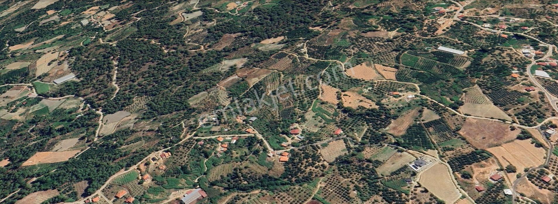 Goldhouse Dan Satılık Tarla Seydikemerde 2710 M2 - Görsel 3