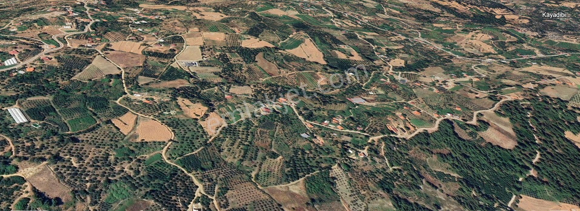 Goldhouse Dan Satılık Tarla Seydikemerde 2710 M2 - Görsel 4