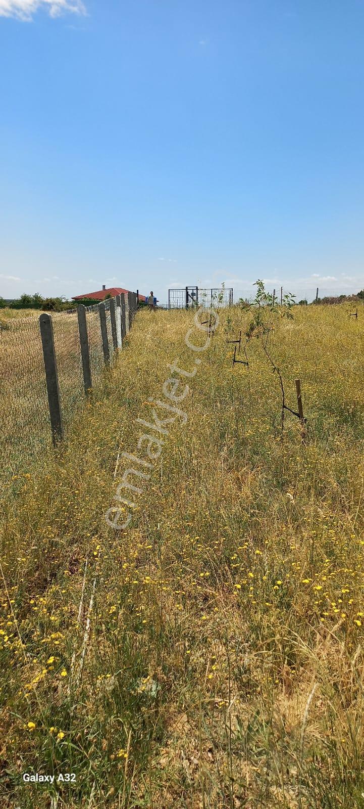 Kırklareli Vize Sergen Muhteşem Konumda Arsa - Görsel 10