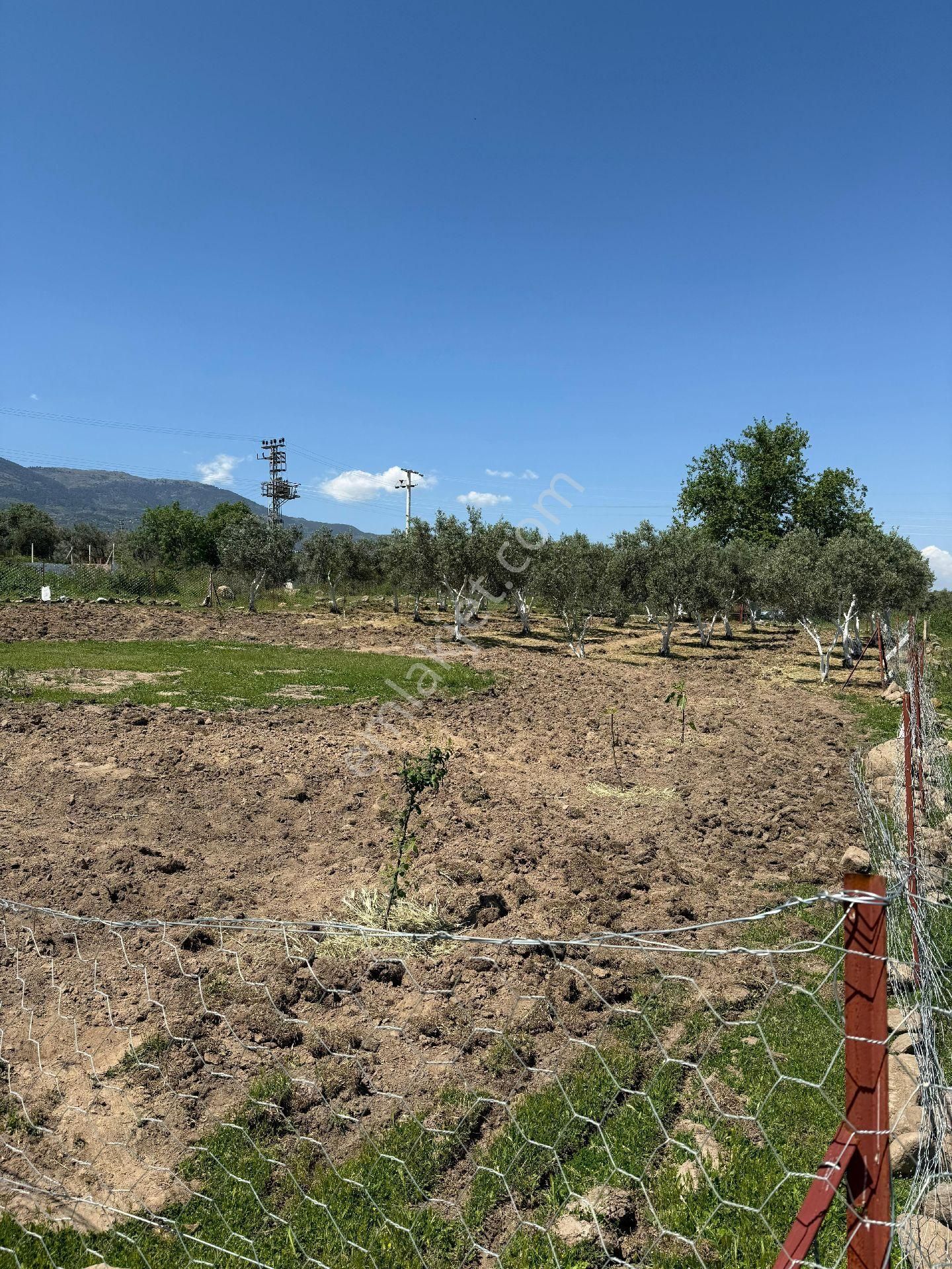 Bozdoğan /eymir Mahallesinde Toplamda 900 M² Arsa İçerisinde, 270 M² Ev İmar İzinli Satılık Tarla. - Görsel 10