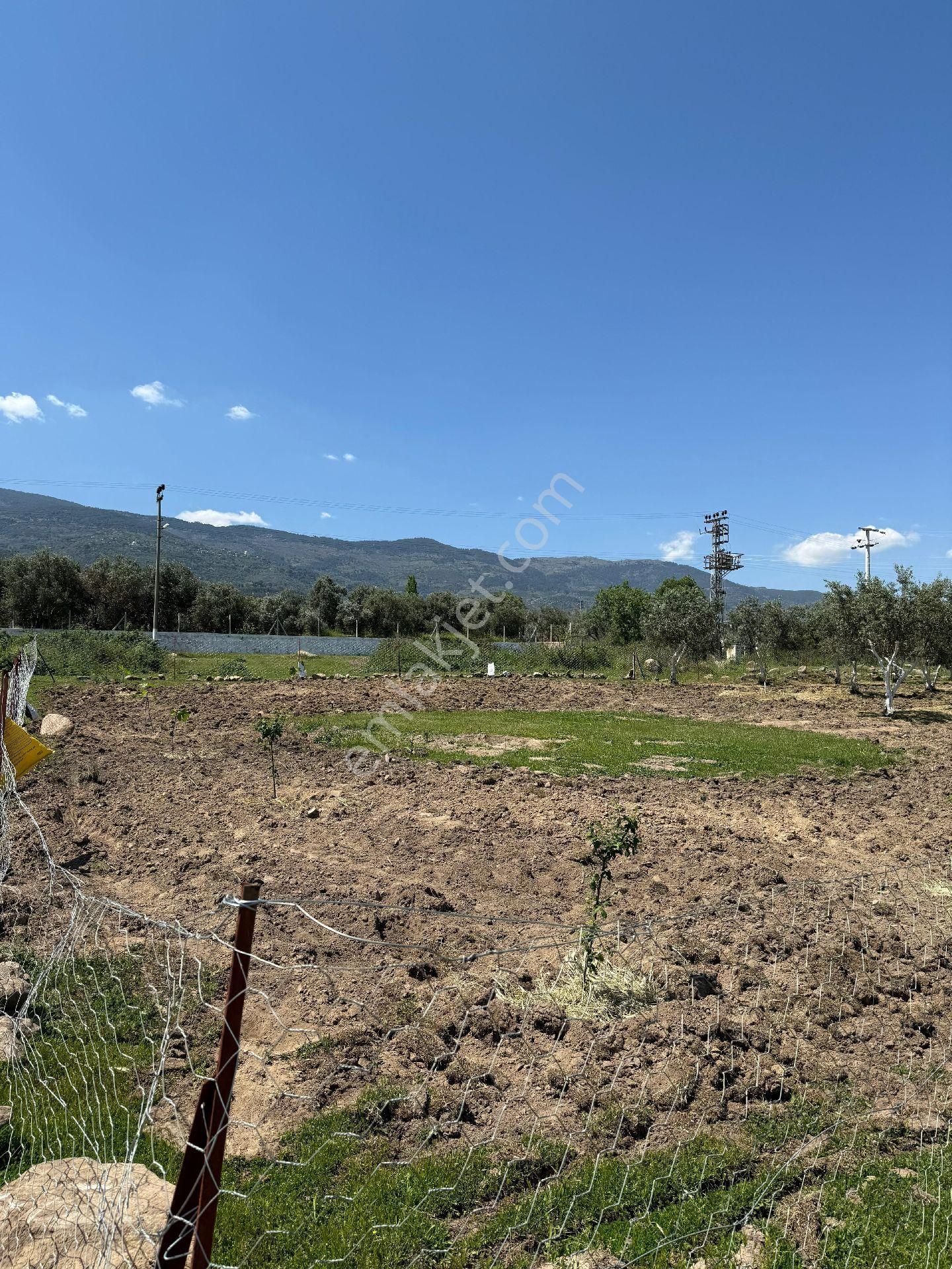 Bozdoğan /eymir Mahallesinde Toplamda 900 M² Arsa İçerisinde, 270 M² Ev İmar İzinli Satılık Tarla. - Görsel 12