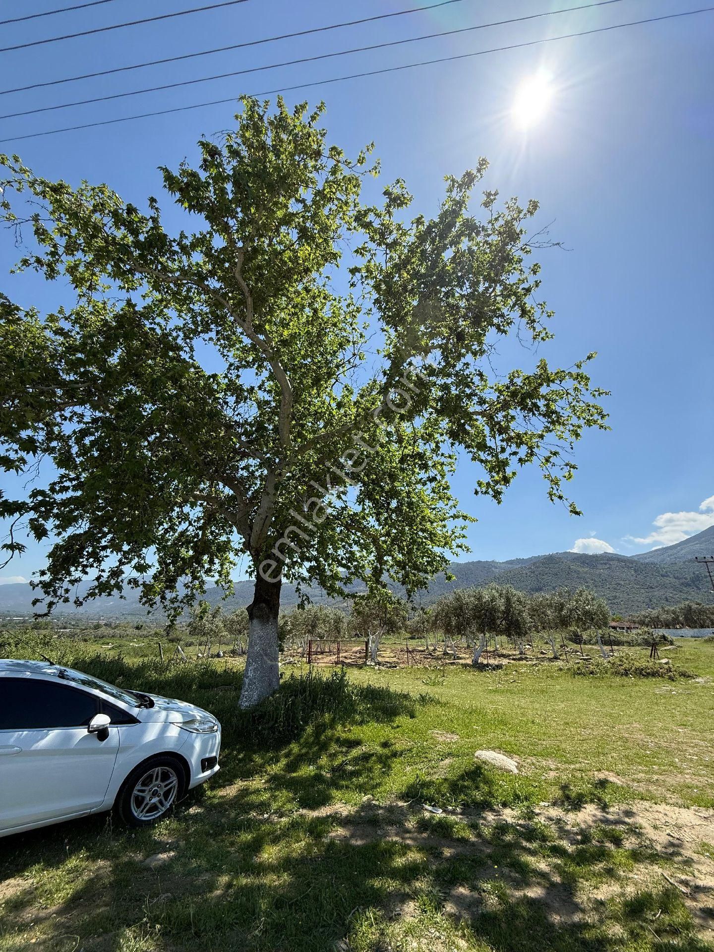 Bozdoğan /eymir Mahallesinde Toplamda 900 M² Arsa İçerisinde, 270 M² Ev İmar İzinli Satılık Tarla.