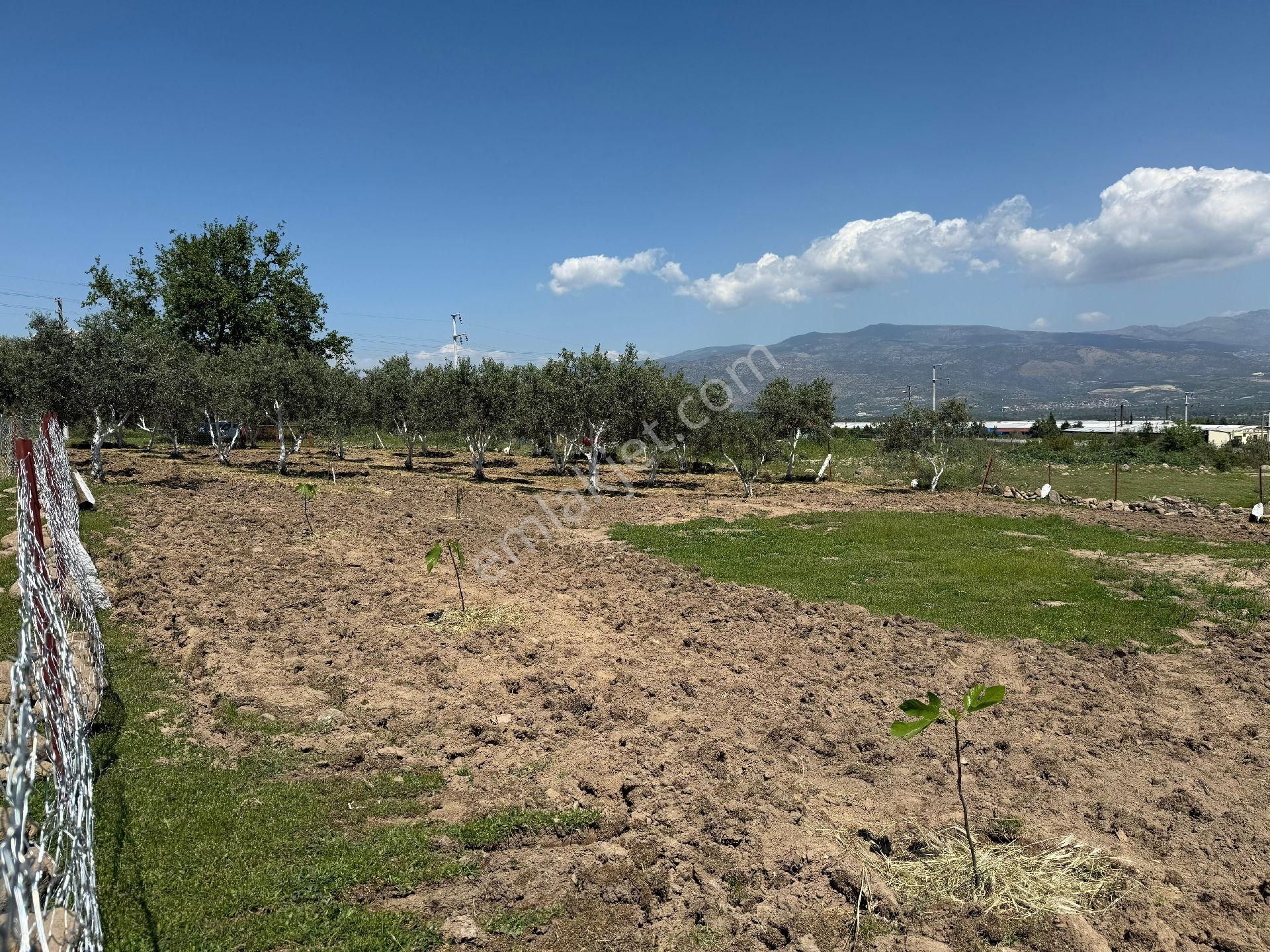 Bozdoğan /eymir Mahallesinde Toplamda 900 M² Arsa İçerisinde, 270 M² Ev İmar İzinli Satılık Tarla. - Görsel 9