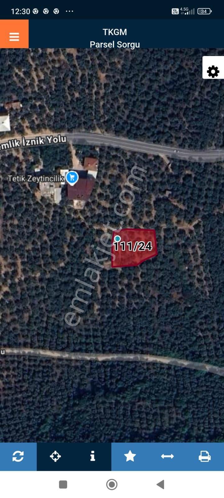Beka Gayrimenkul'den Narlıca Köyünde Muhteşem Göl Manzaralı Köye Yakın 888 M² Zeytinlik - Görsel 24
